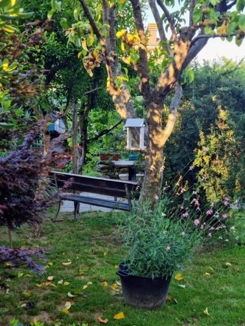 Casa Cambini, photo 23