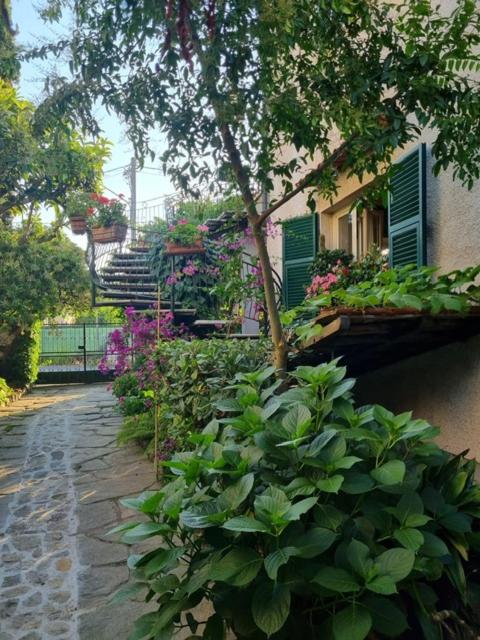 Casa Cambini, photo 8