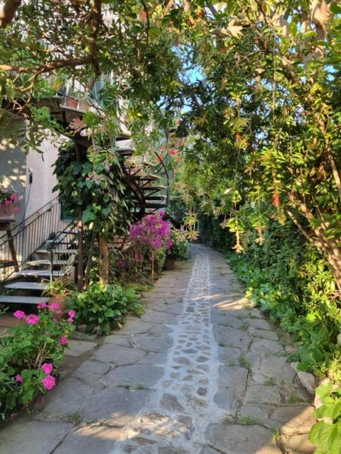Casa Cambini, photo 22