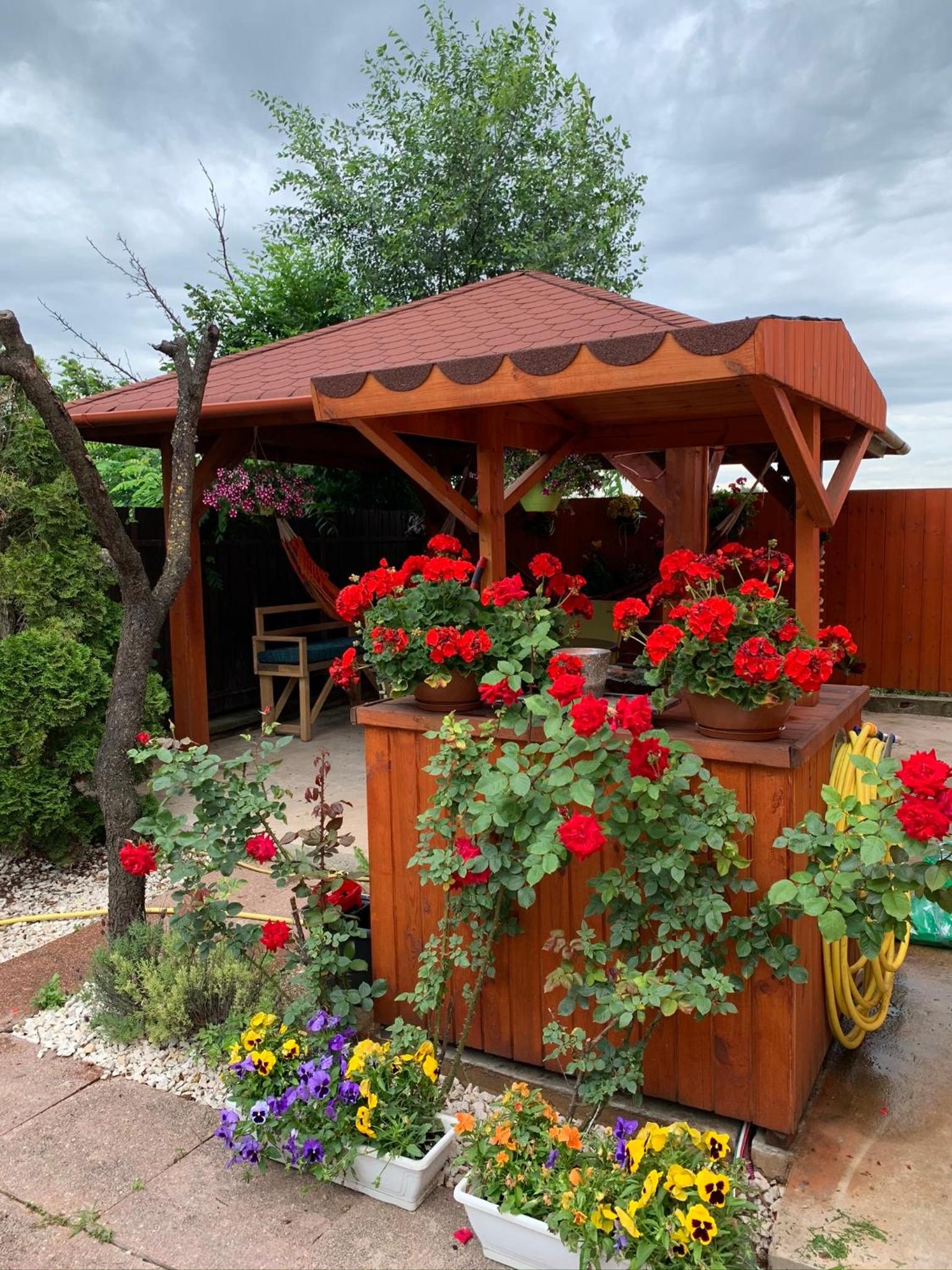 Airport16 bed and breakfast