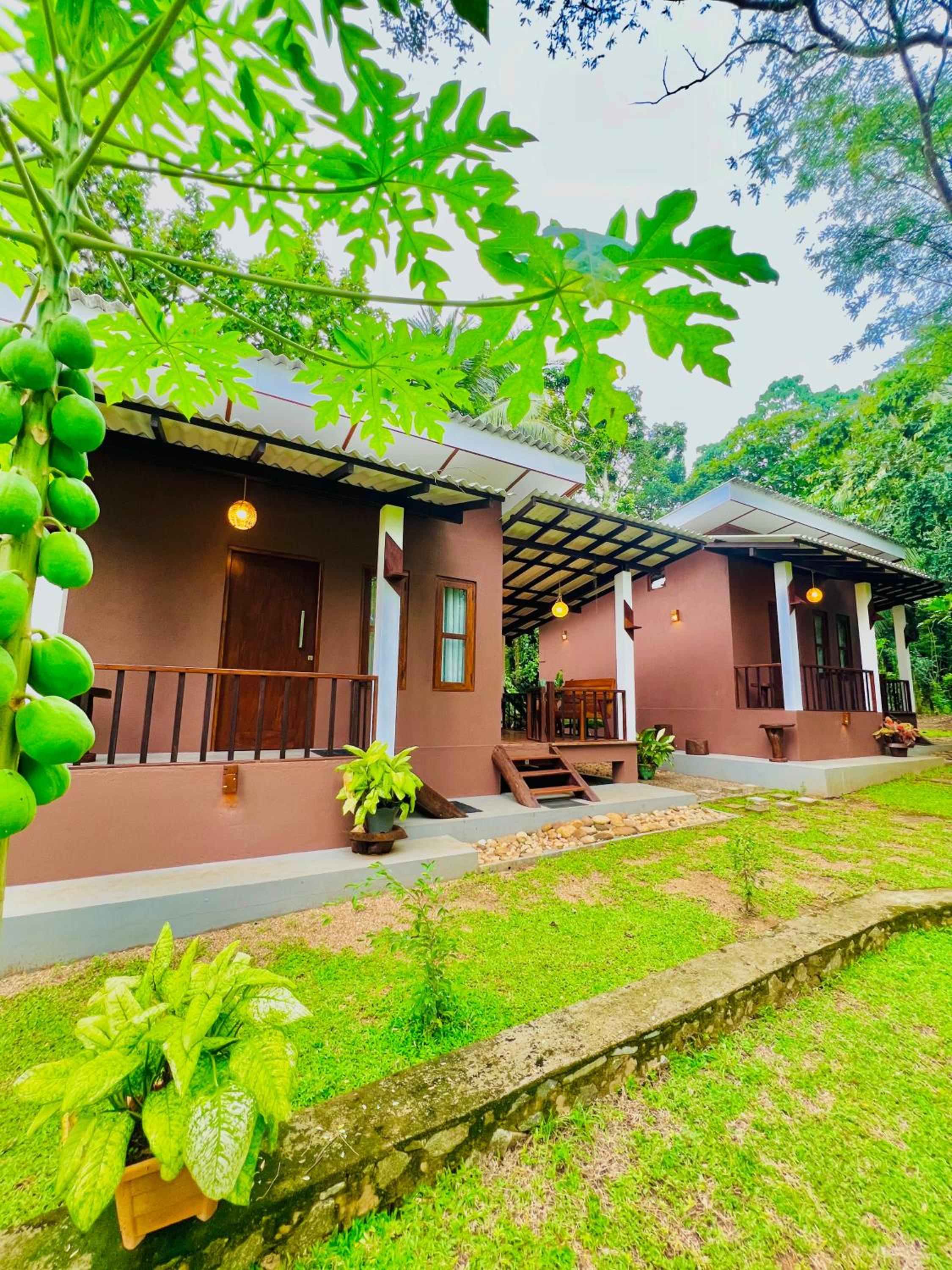 EdenHaven Cottage