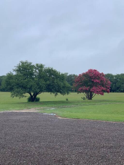 La Paterna, casa de campo