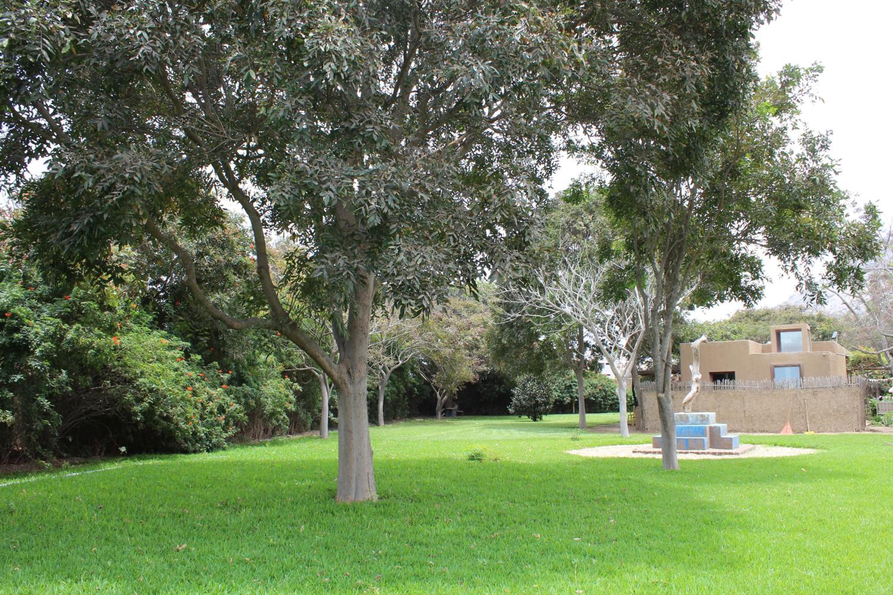 Photo 22