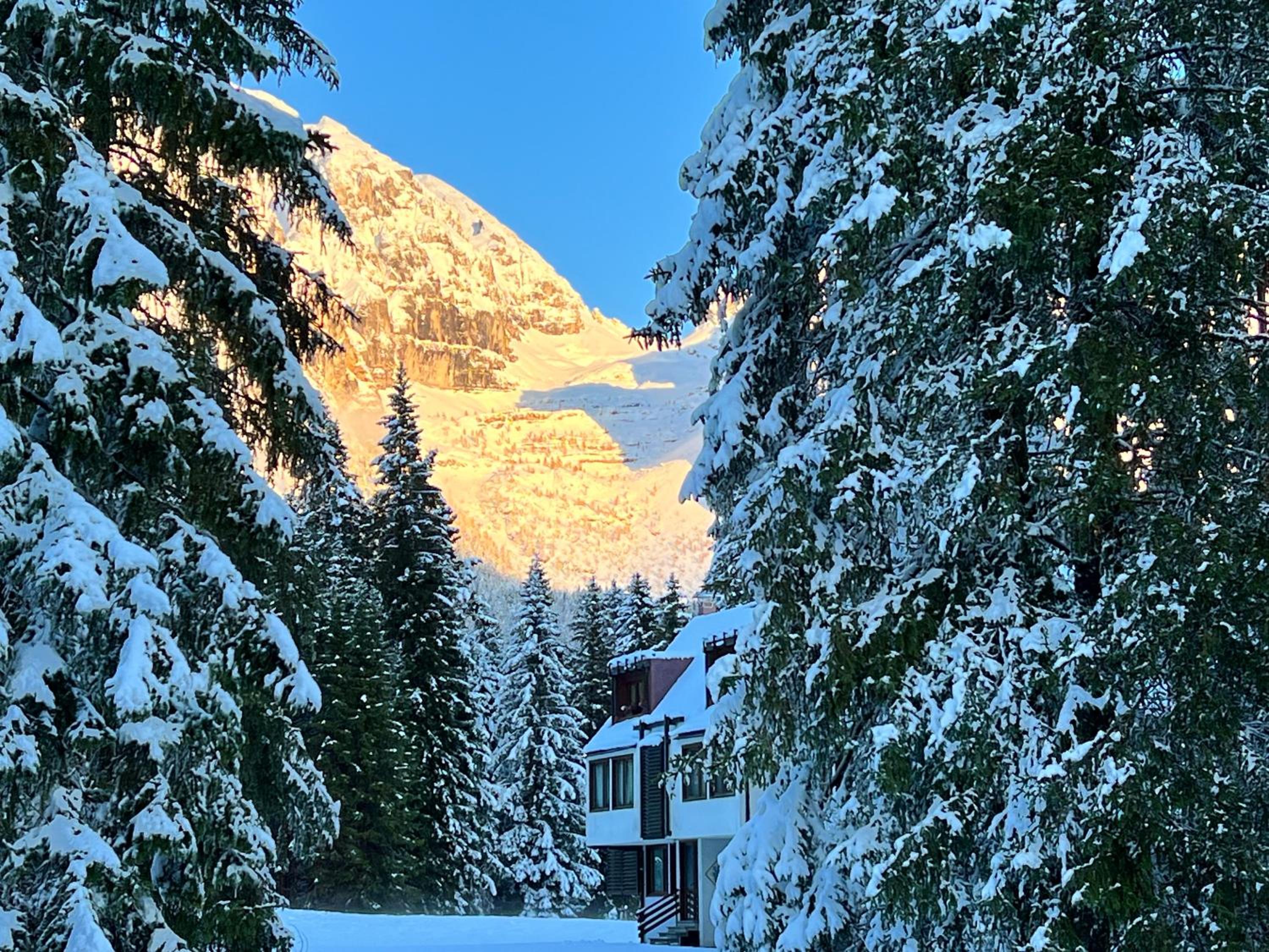 Cosy Lodge un rifugio romantico nel cuore delle Dolomiti photo 5