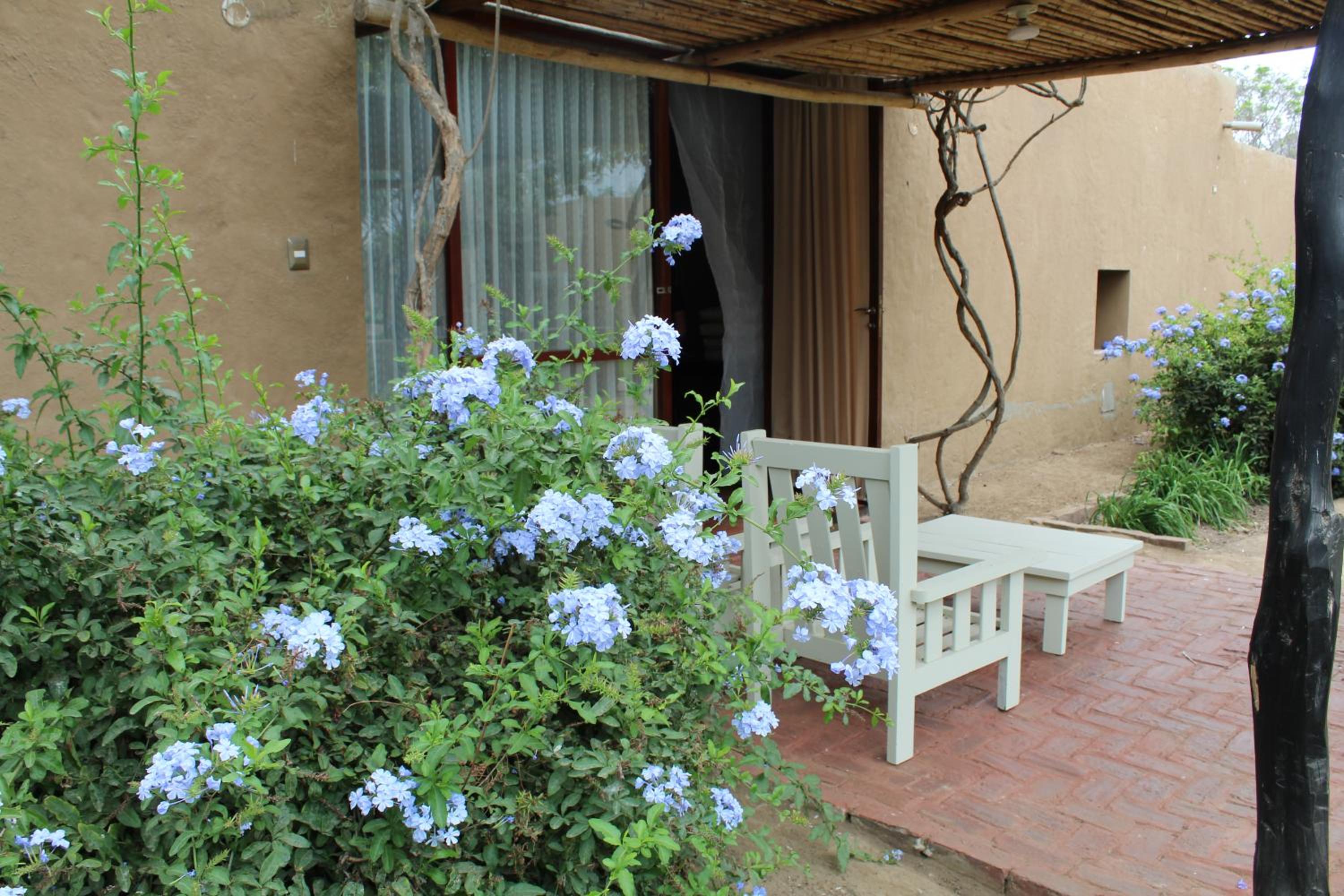 Photo 27
