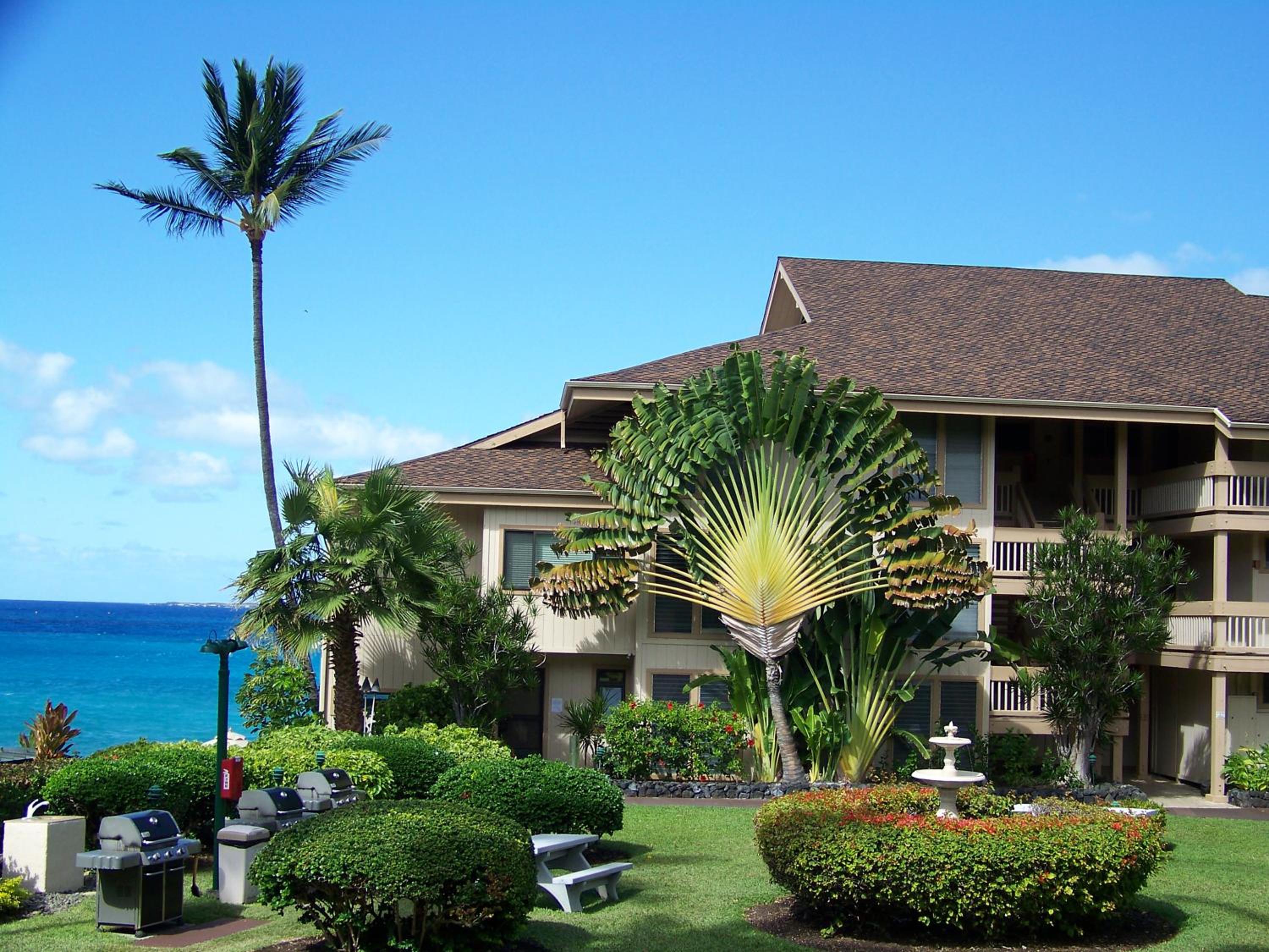 Sea Village