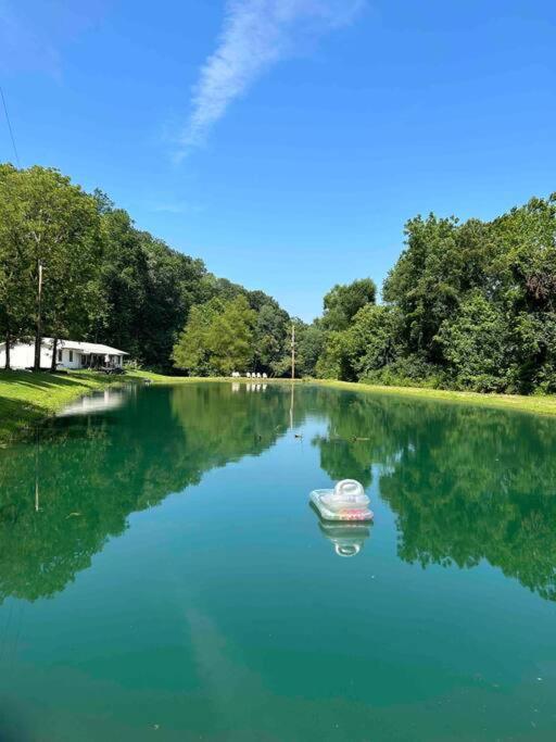 New Waterfront Cabin, 62 Acre, King Beds, Fire pit, Hiking view 5