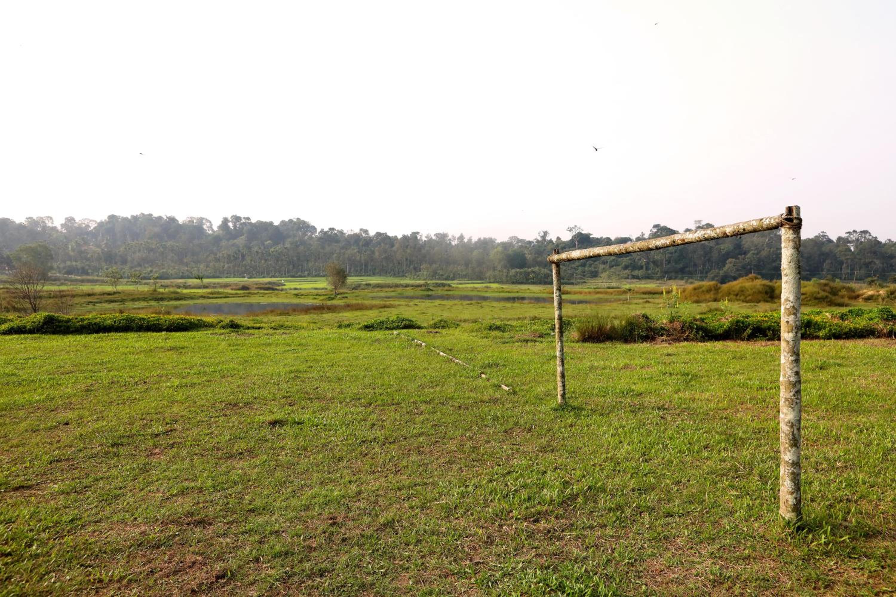 Photo 65