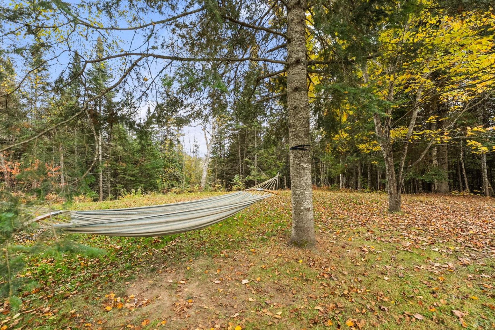 Beautiful River Front Home on 43 Acres