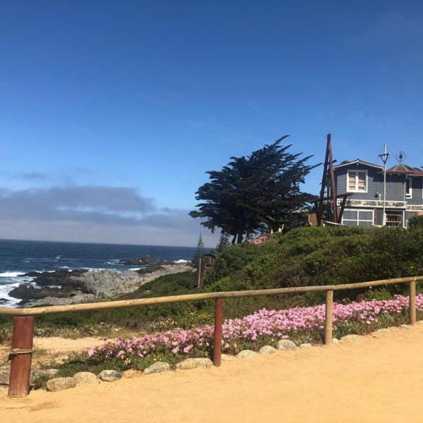 Casas Isla Negra