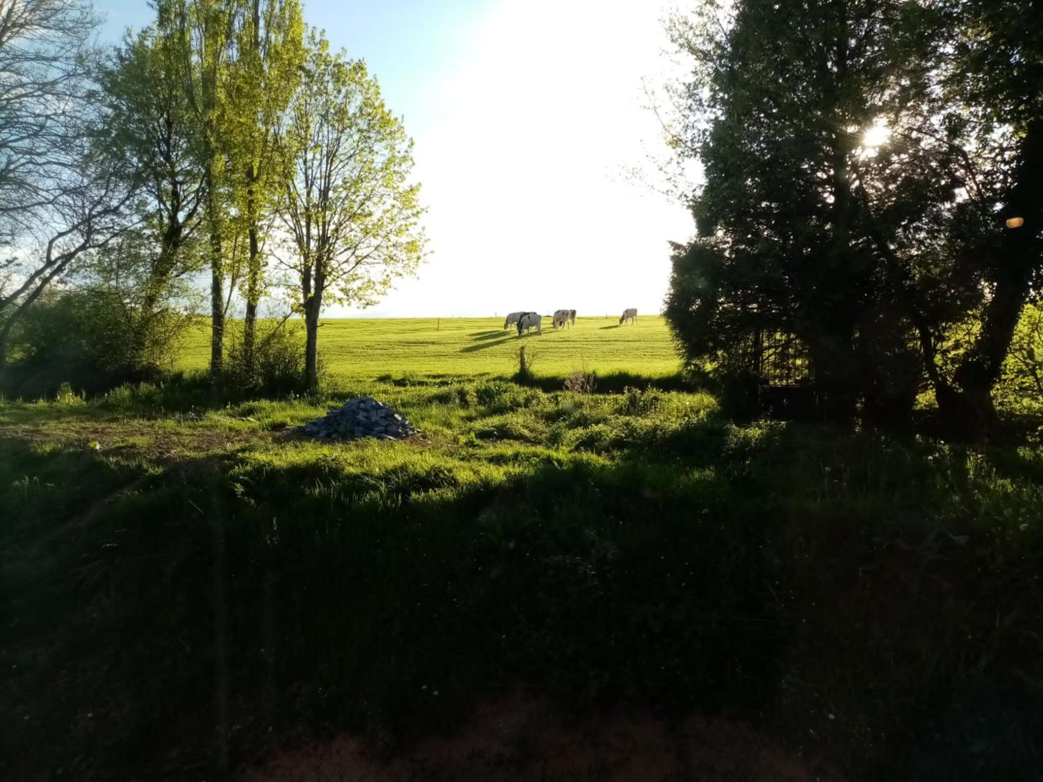 Feel at home in Warre, Durbuy