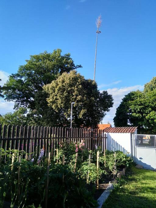Ubytování na statku - Podolsko