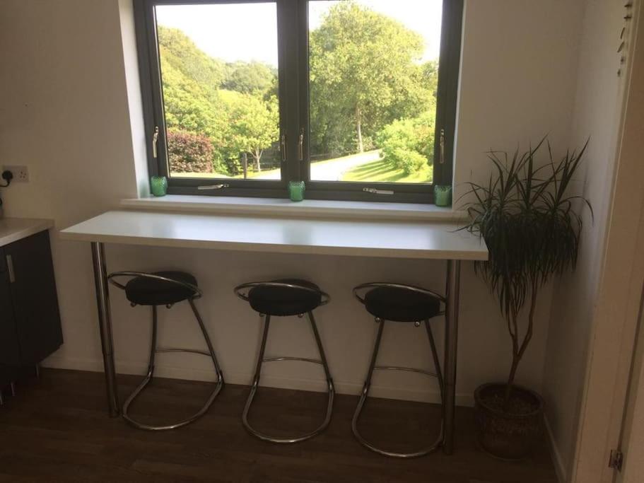 Eden Falls Studio view 4