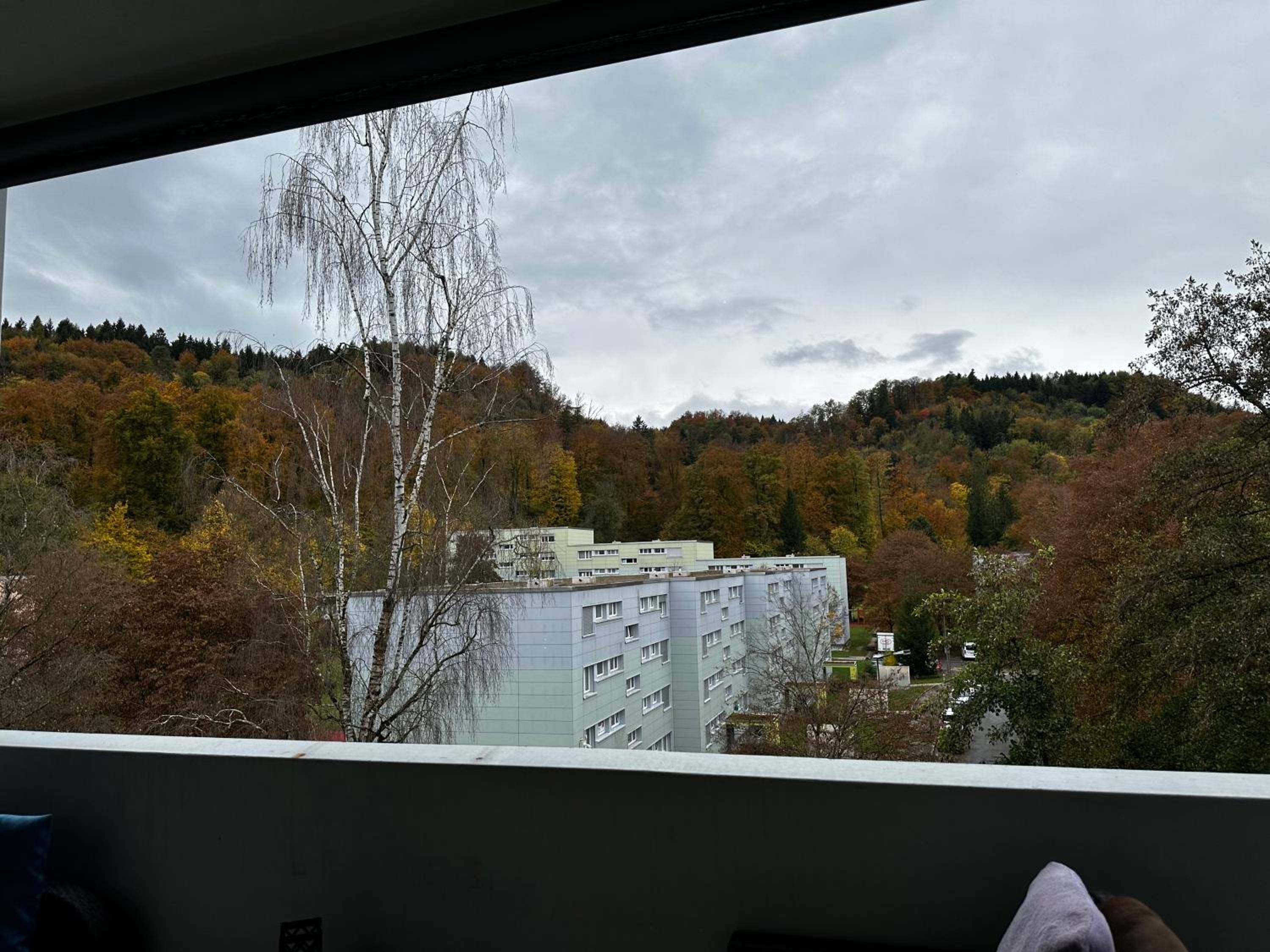 Gemütliche möbilierte Wohnung in Winterthur