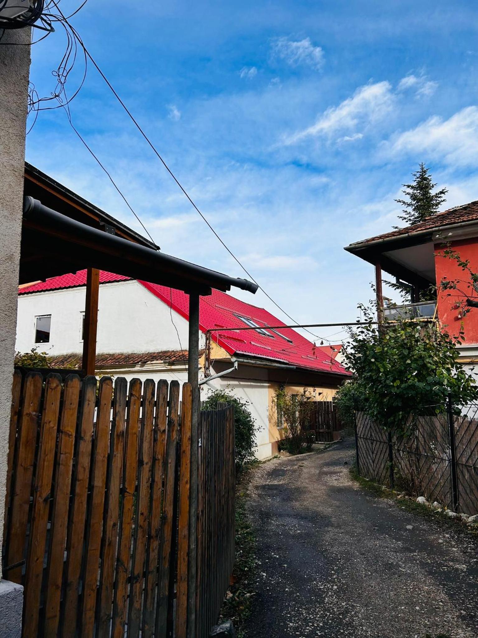 Photo 45