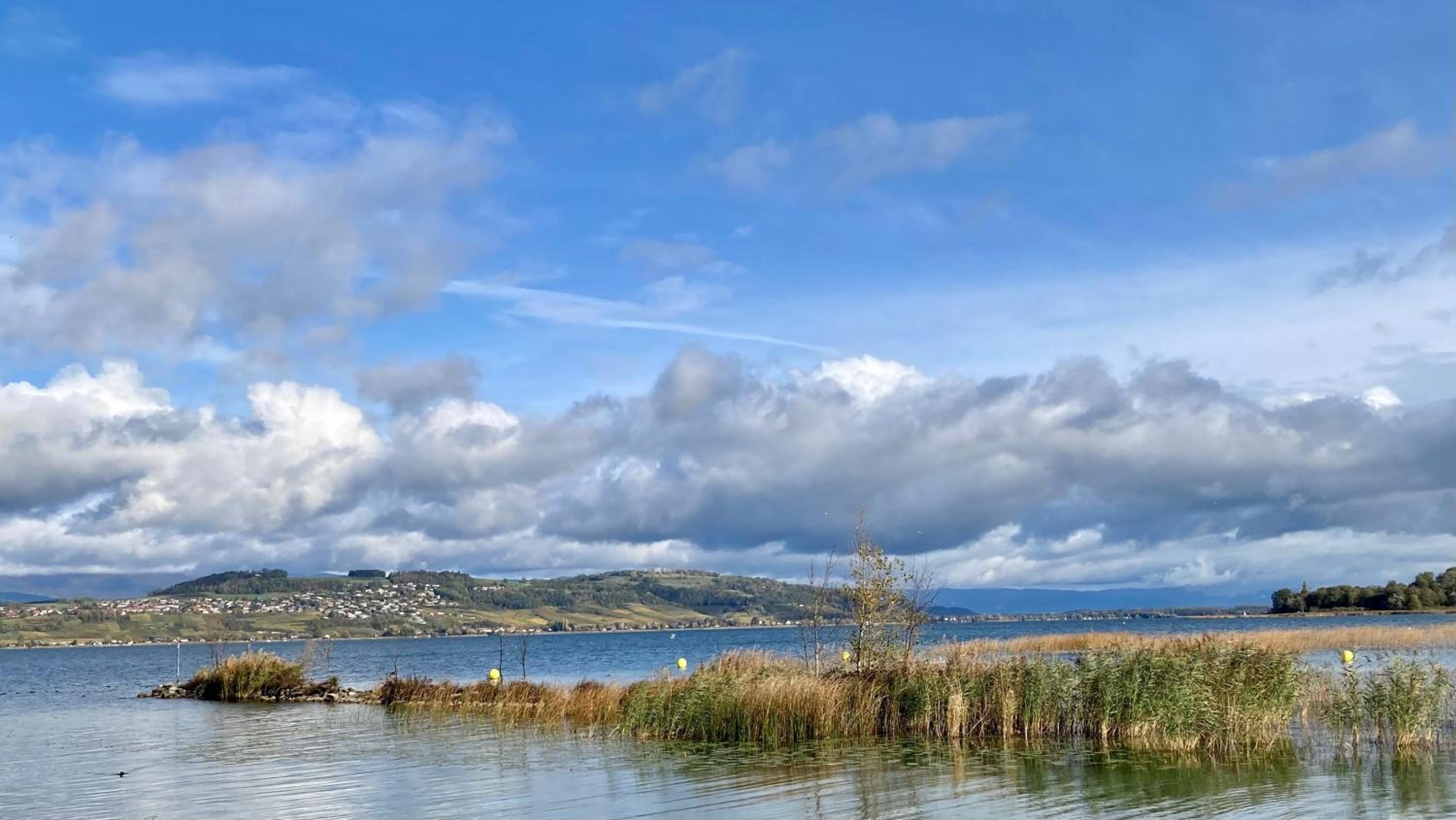 Ahornlounge Faoug am Murtensee