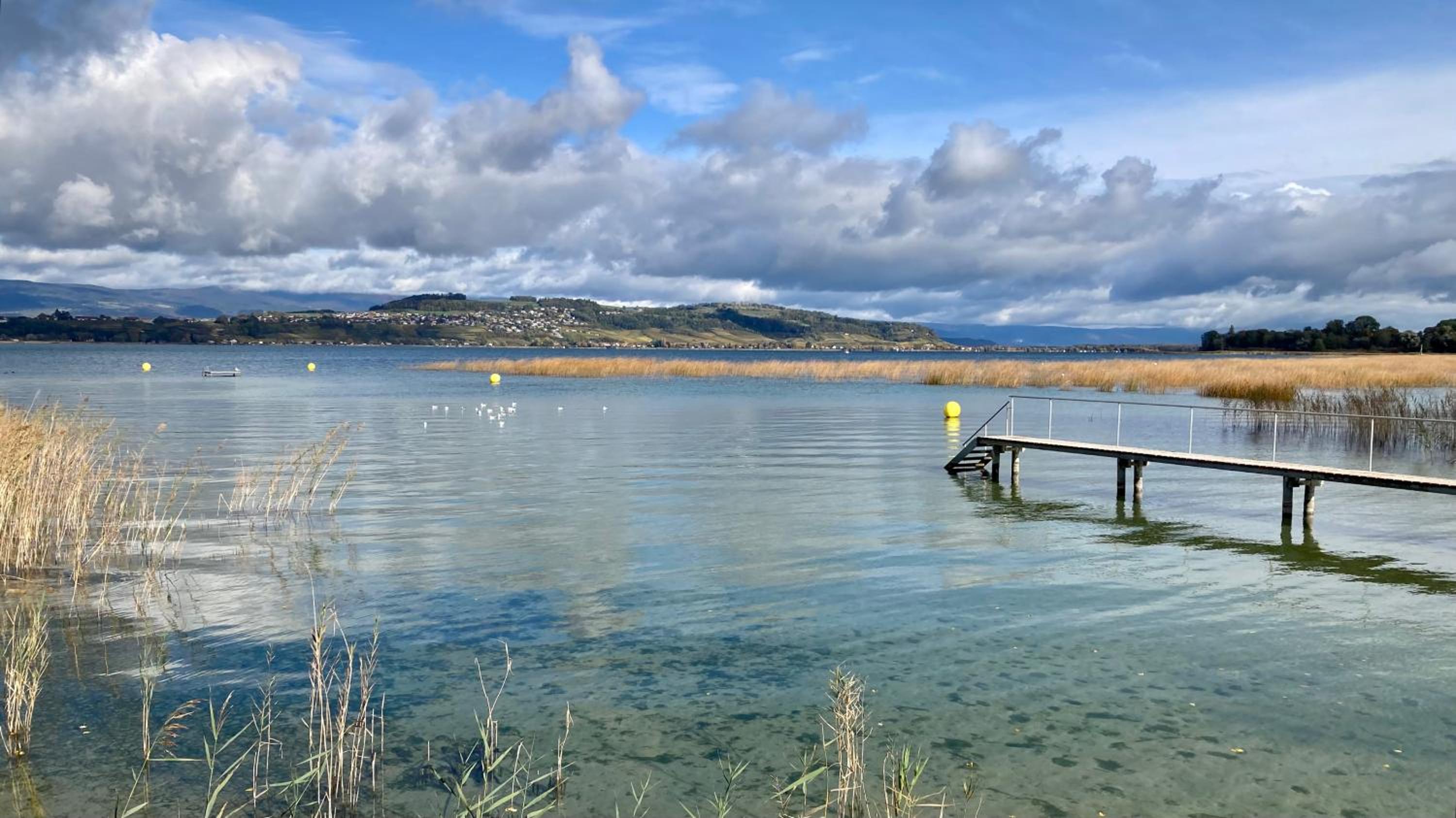 Ahornlounge Faoug am Murtensee