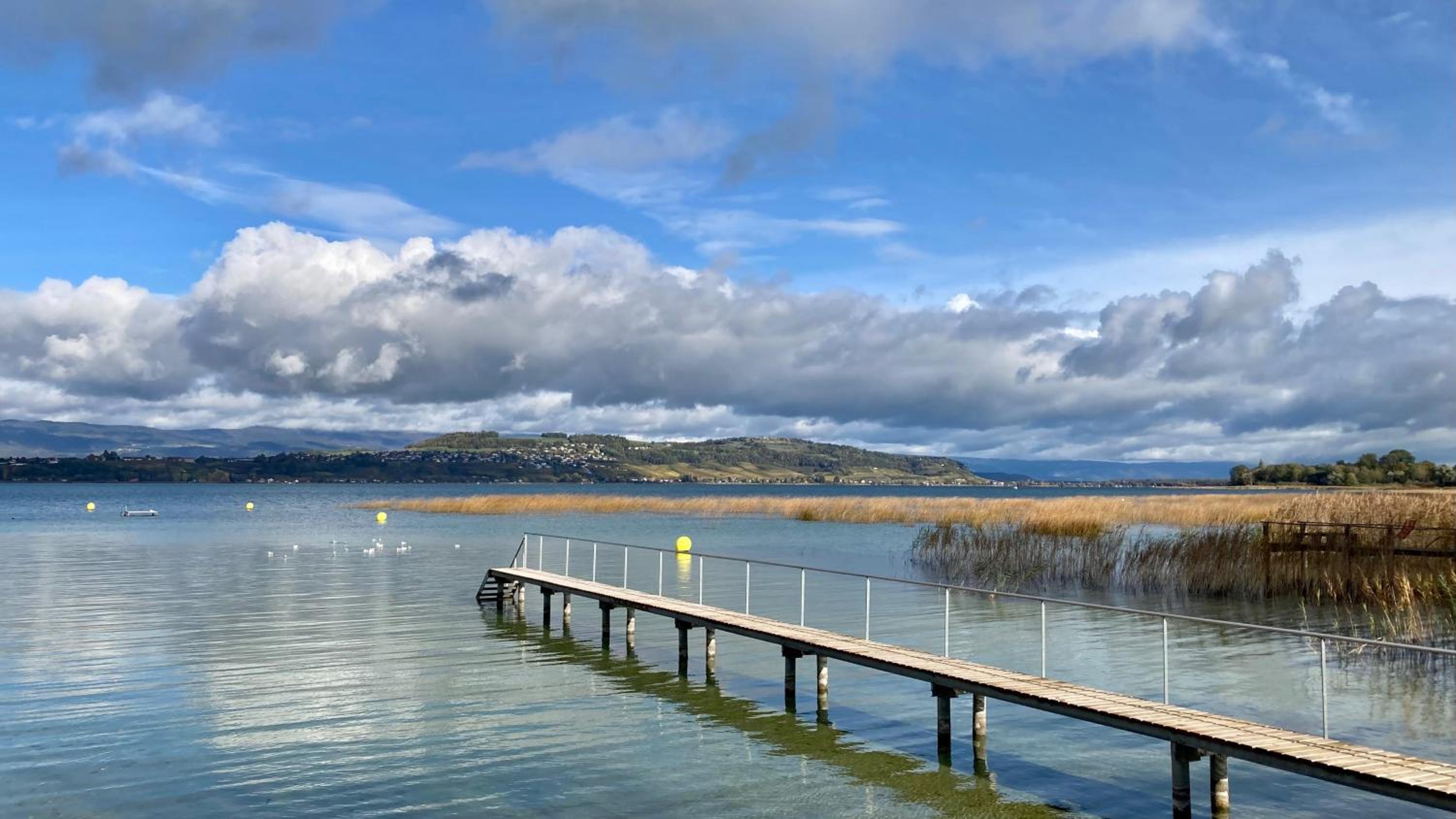 Ahornlounge Faoug am Murtensee