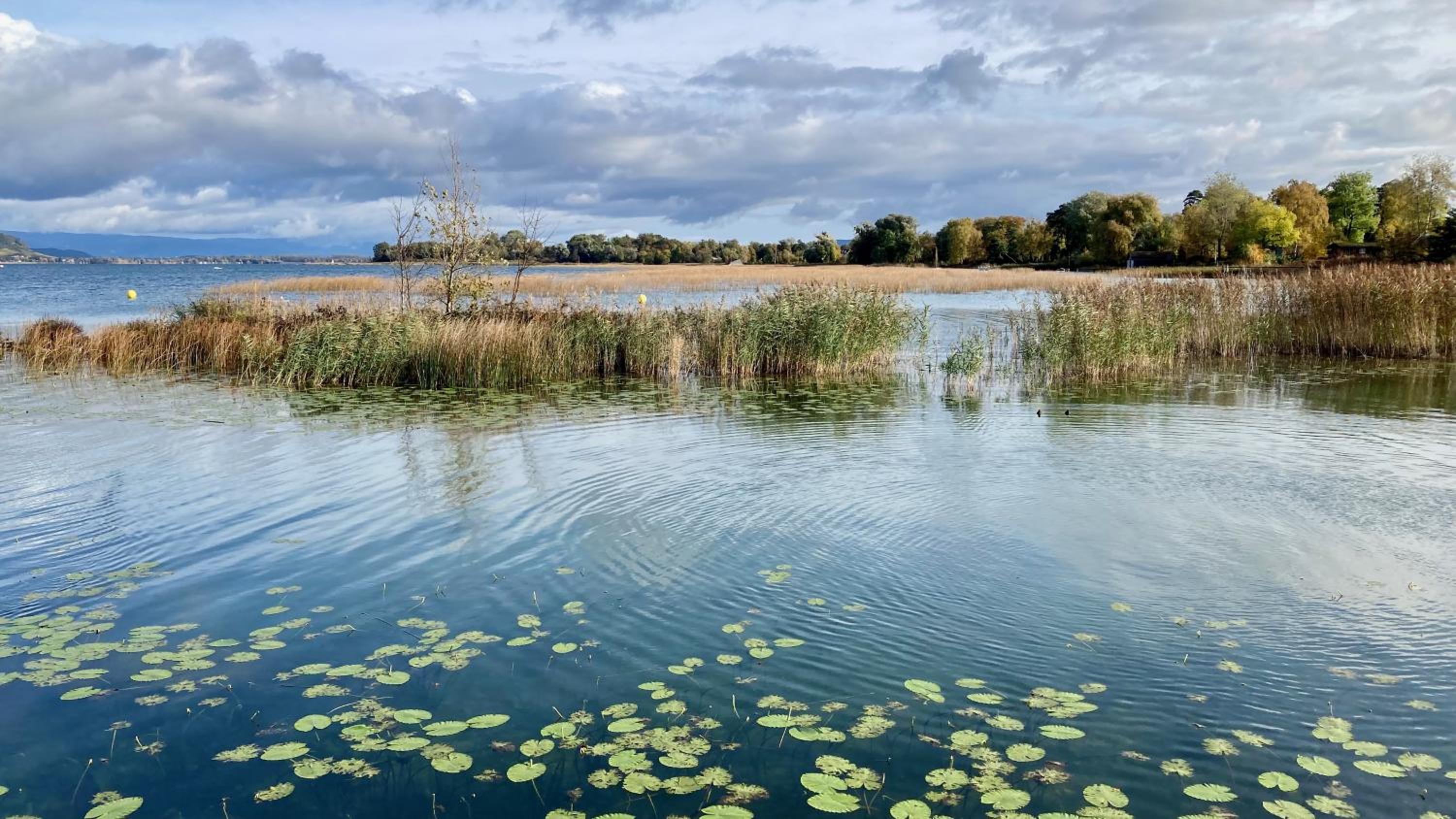 Ahornlounge Faoug am Murtensee