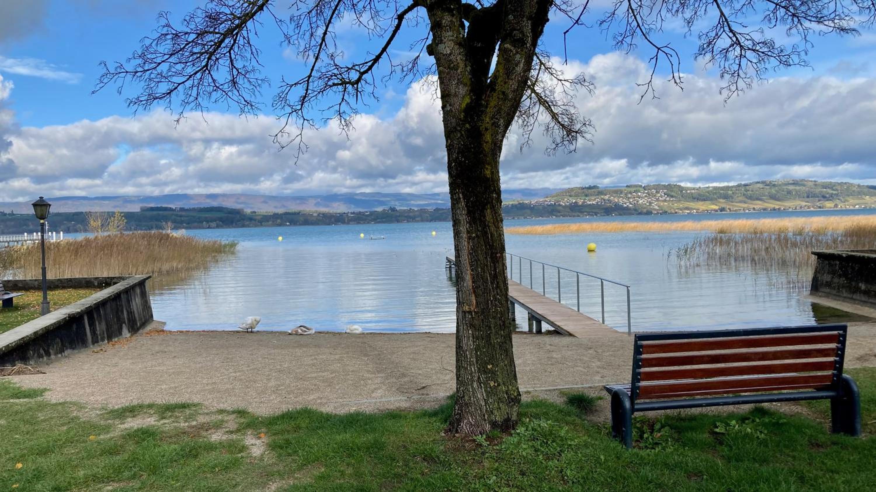 Ahornlounge Faoug am Murtensee