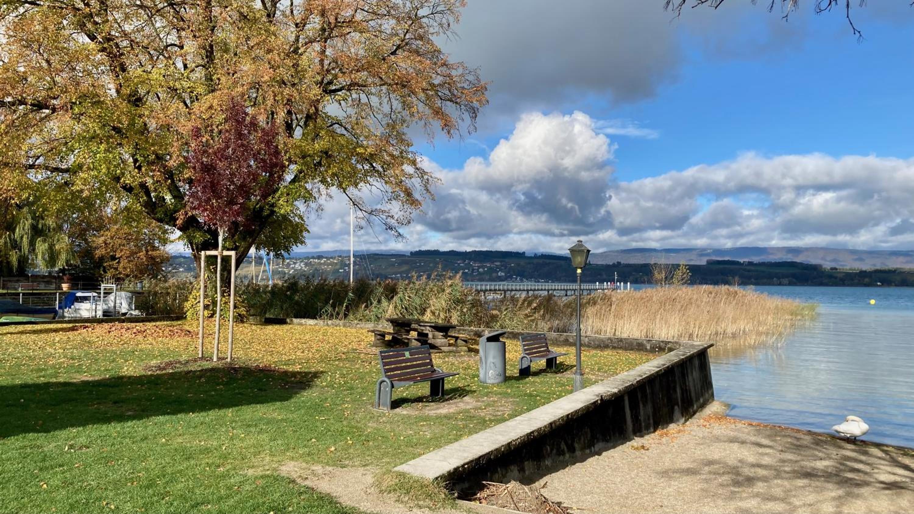 Ahornlounge Faoug am Murtensee