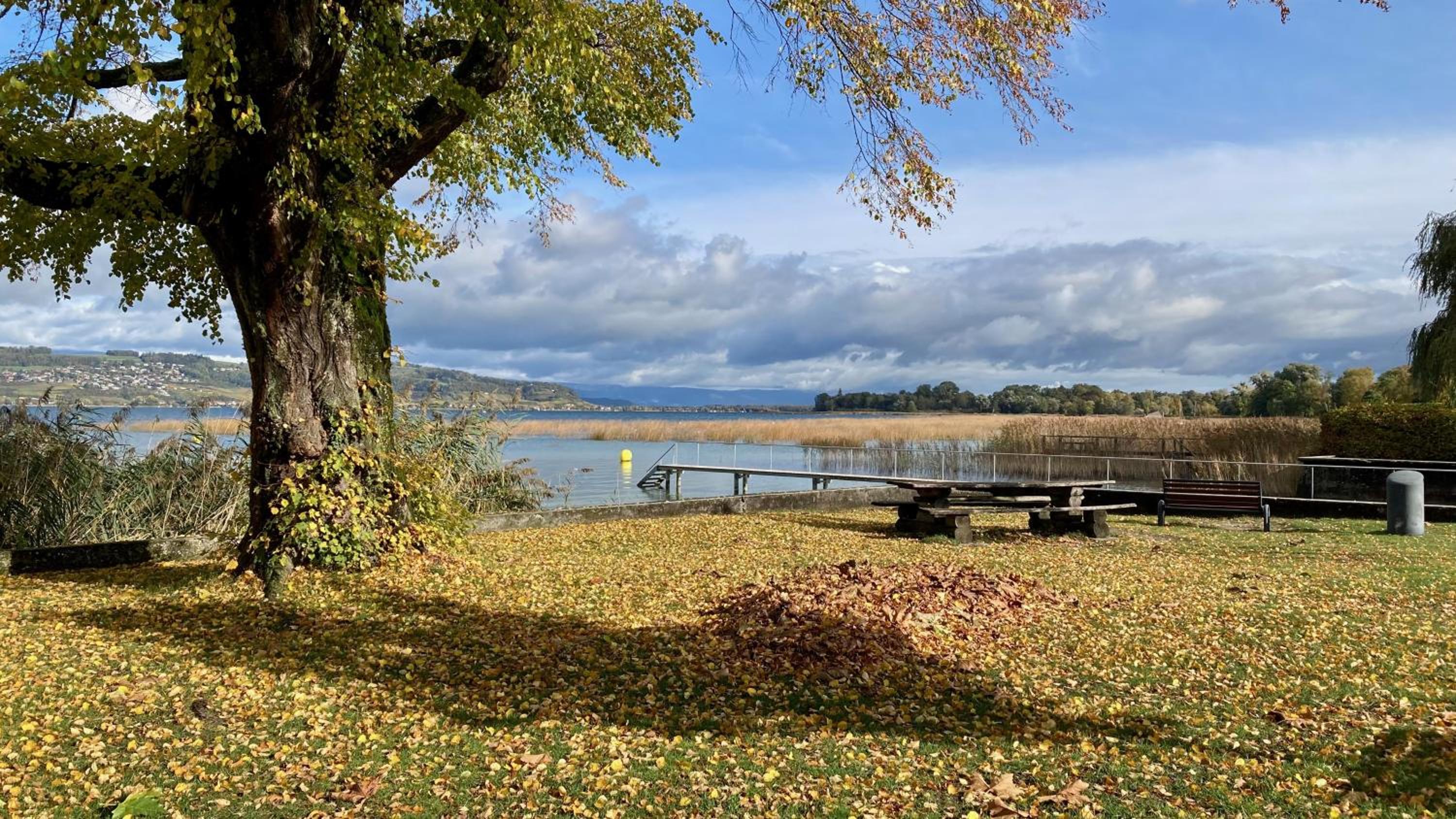 Ahornlounge Faoug am Murtensee