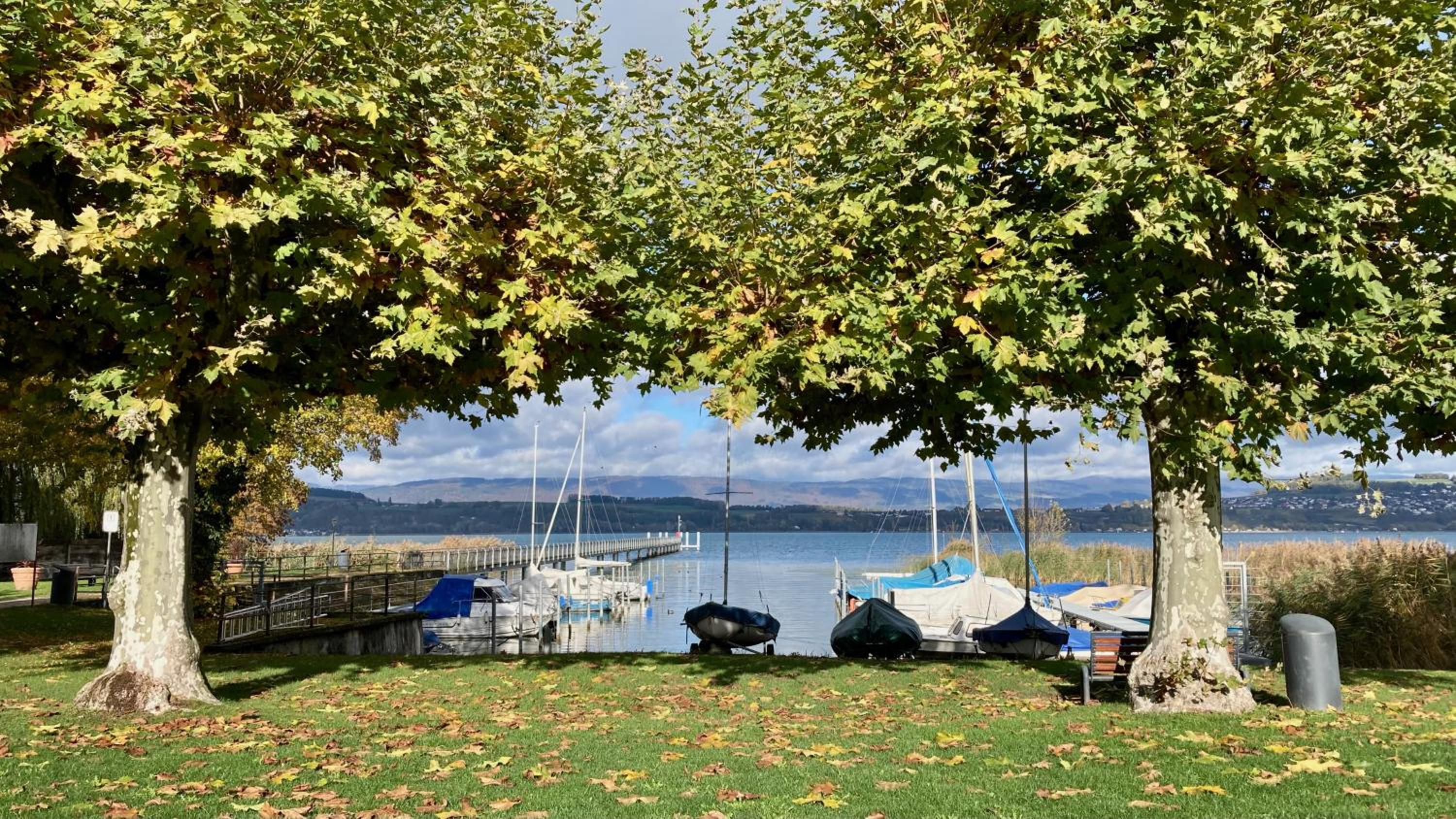 Ahornlounge Faoug am Murtensee