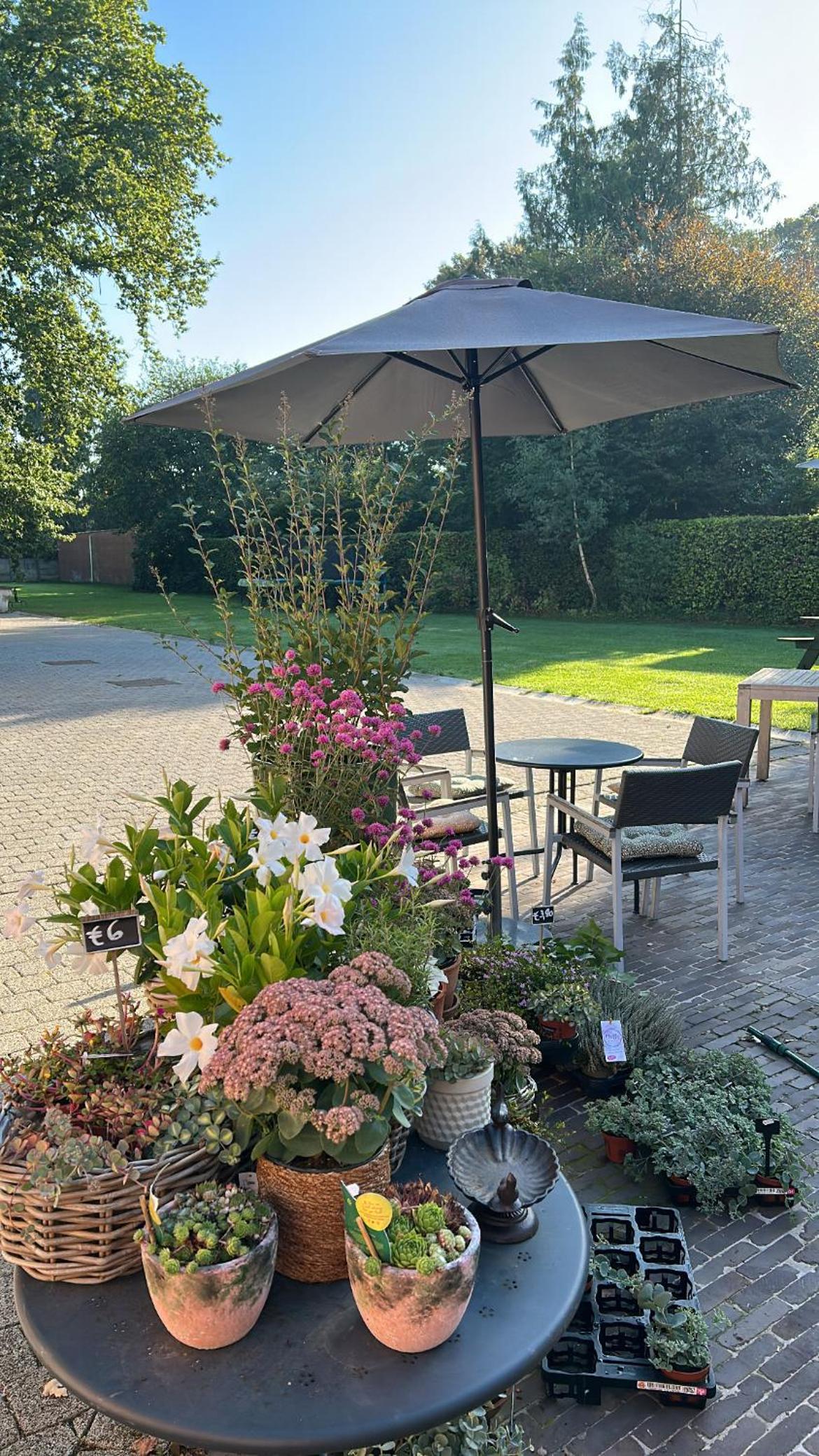 Den Grooten Eik view 4