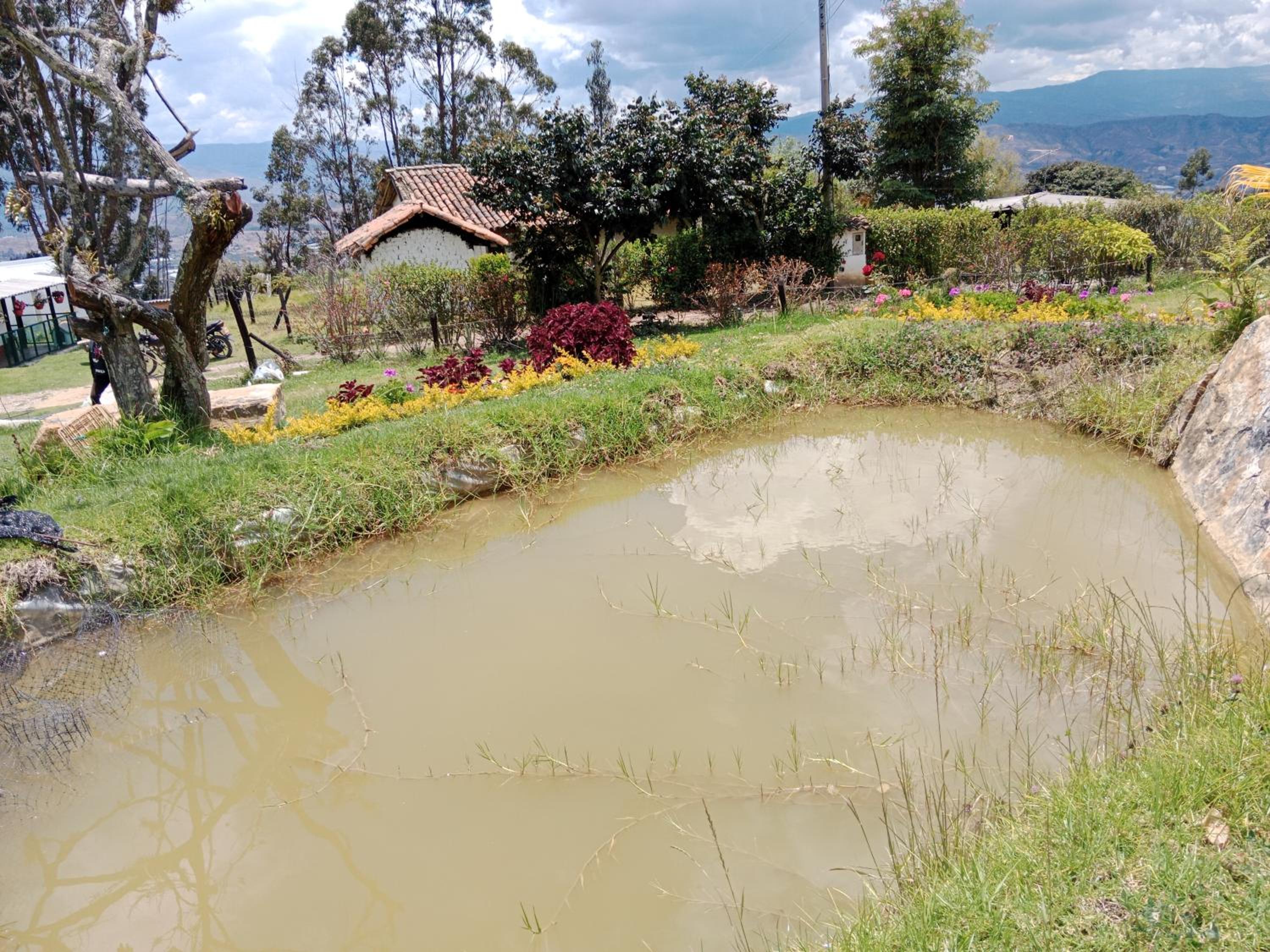 Finca la Riverita