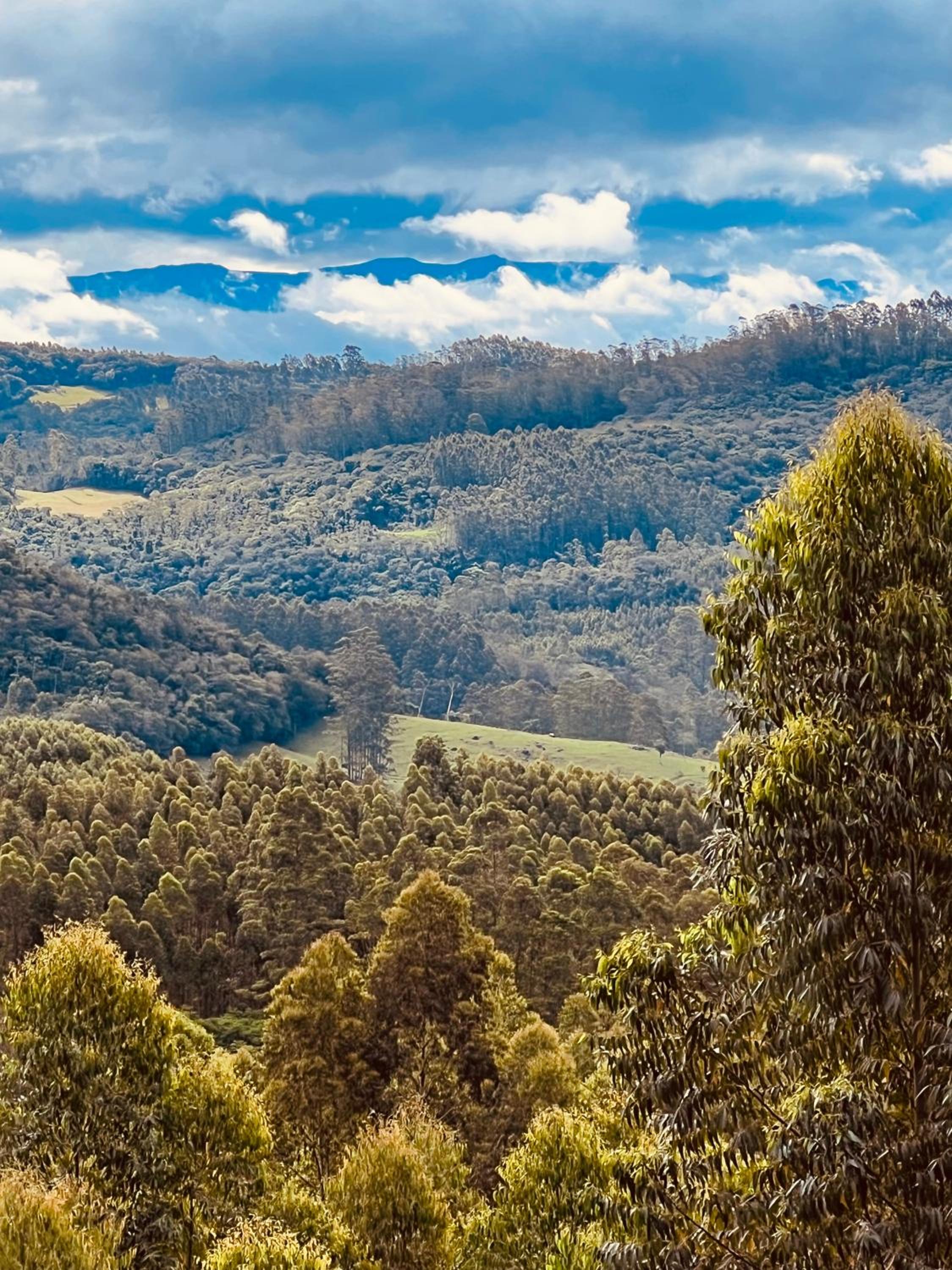 Sitio do Vô Adelfo