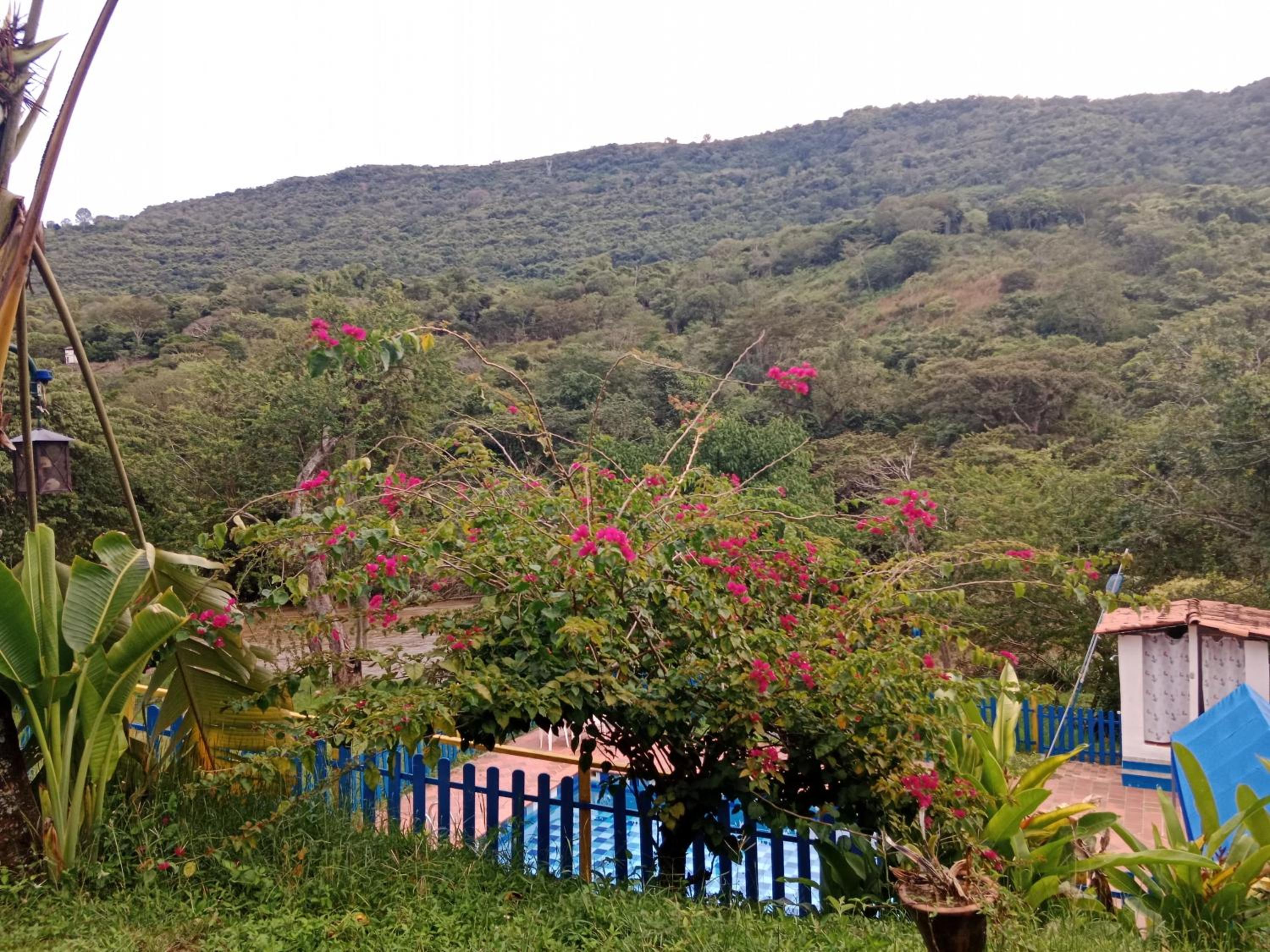 Apartamento Campestre Con Piscina Villa Lucy