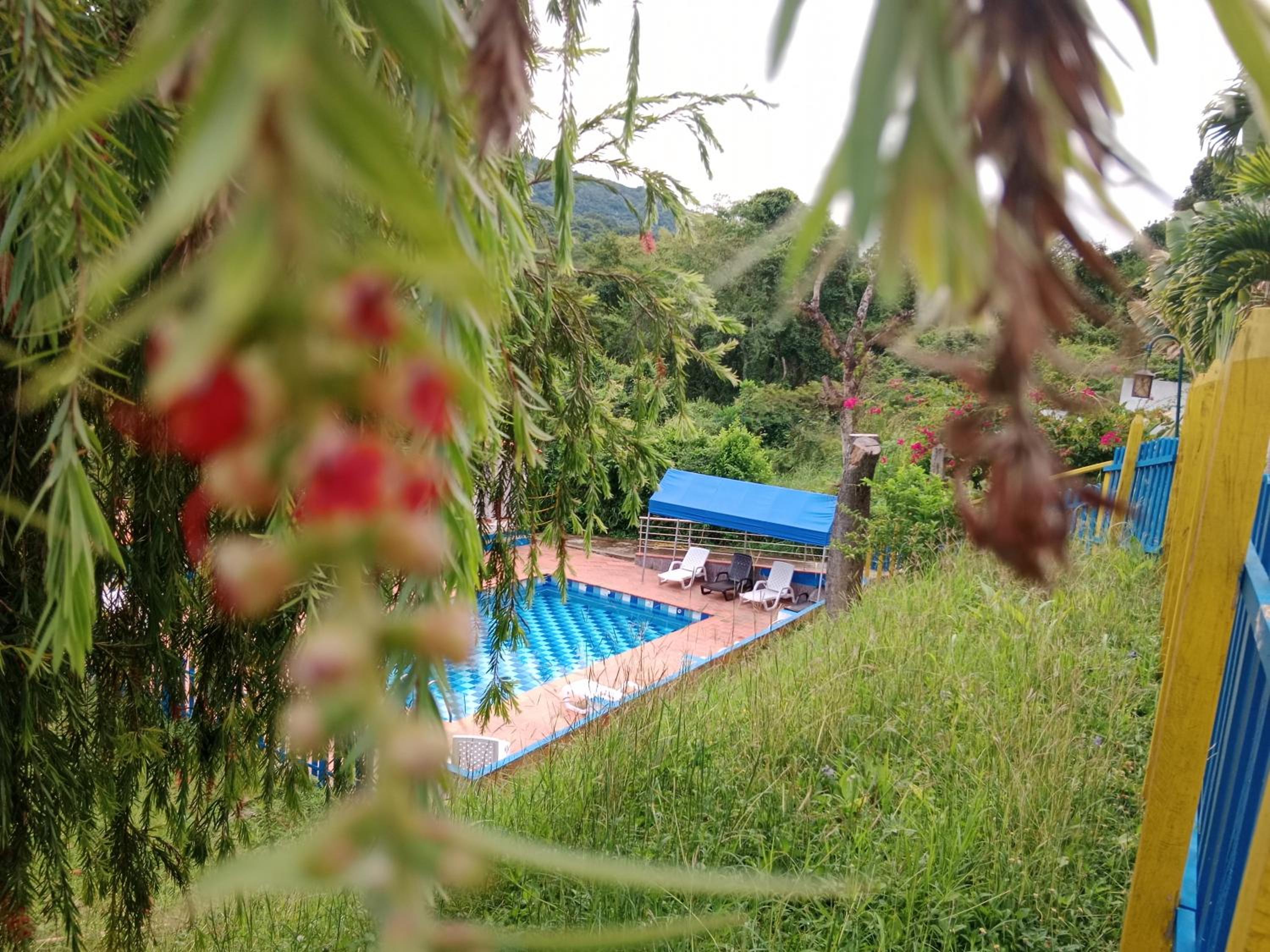 Apartamento Campestre Con Piscina Villa Lucy