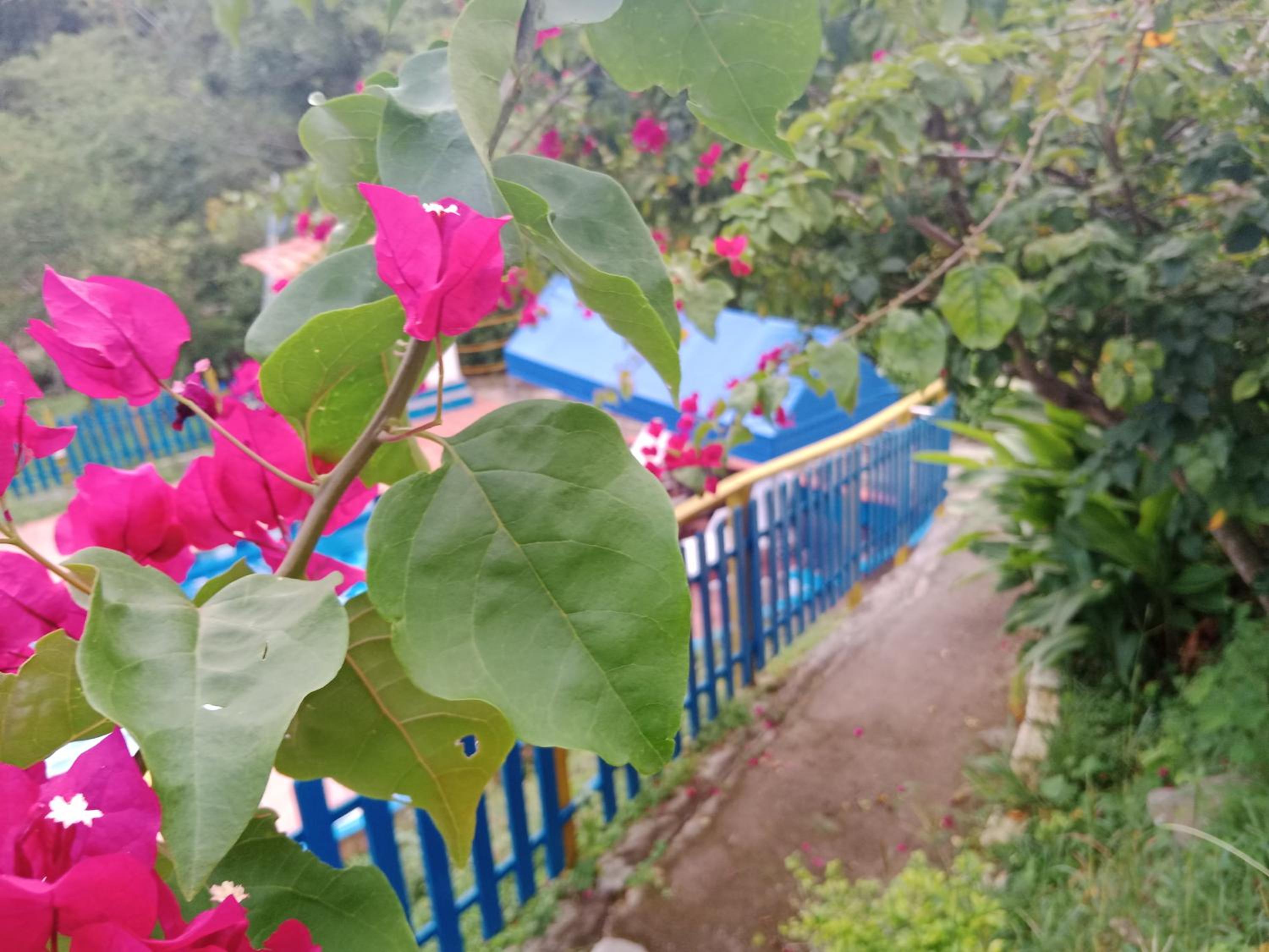 Apartamento Campestre Con Piscina Villa Lucy
