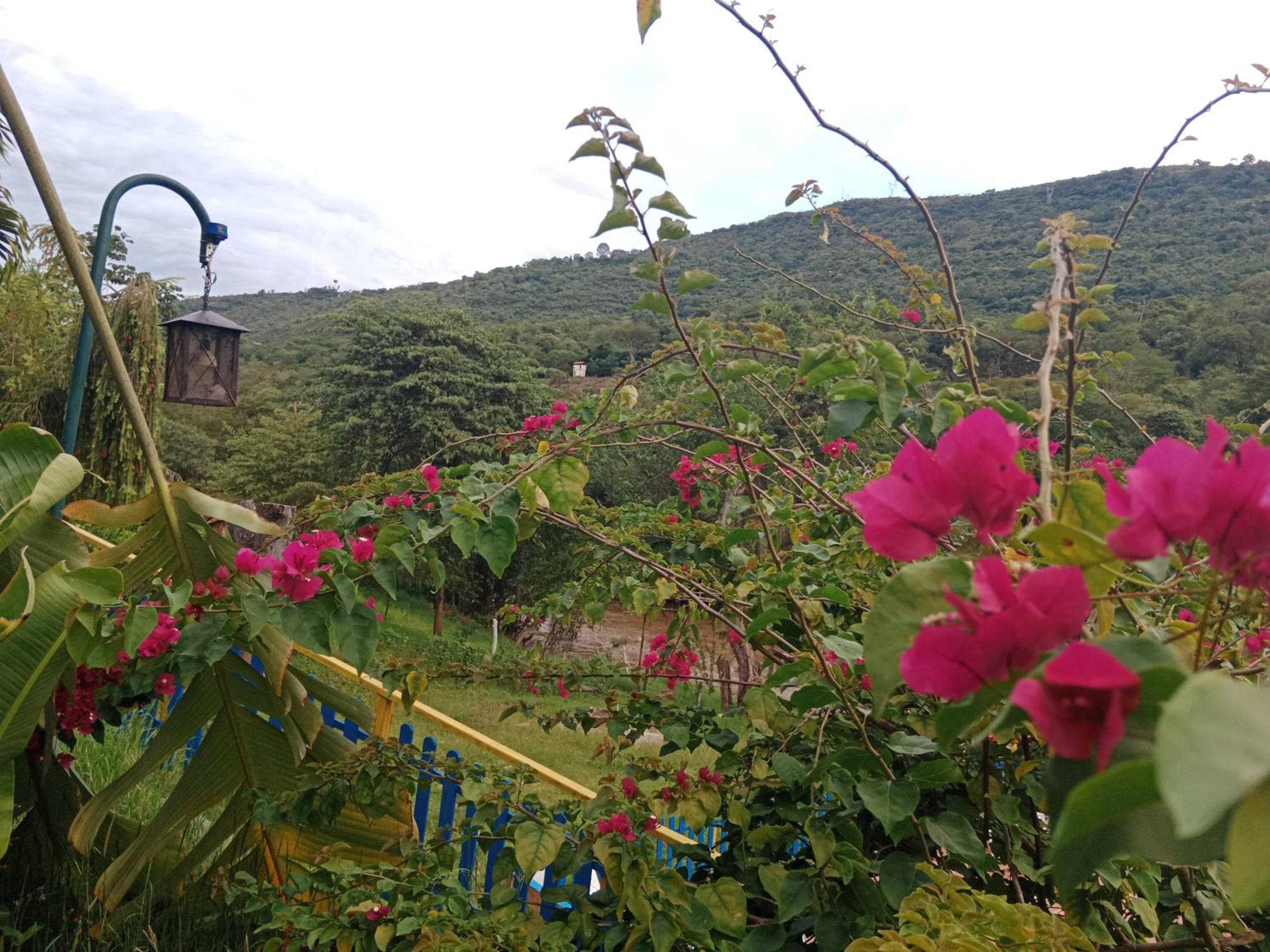 Apartamento Campestre Con Piscina Villa Lucy