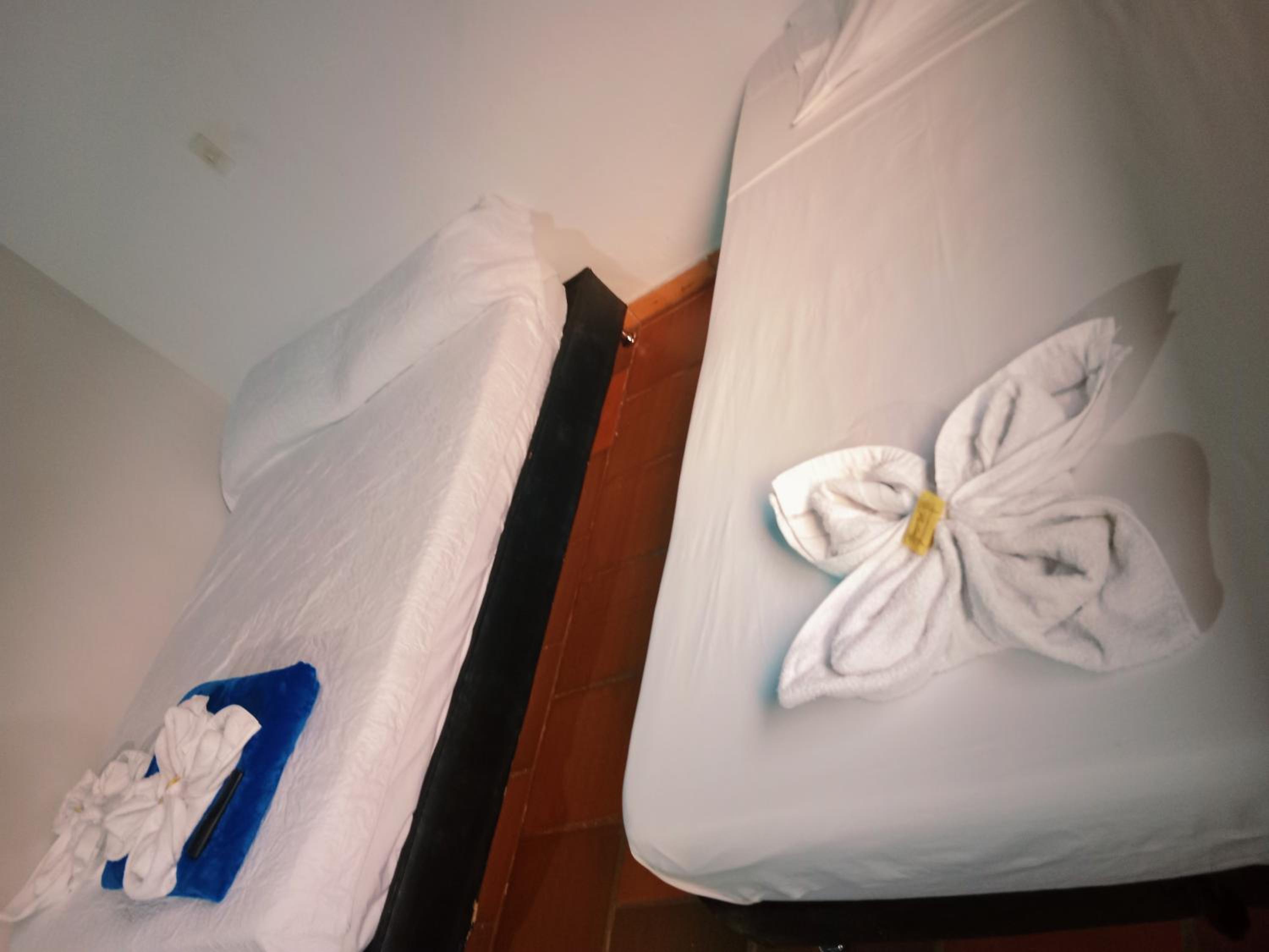 Apartamento Campestre Con Piscina Villa Lucy