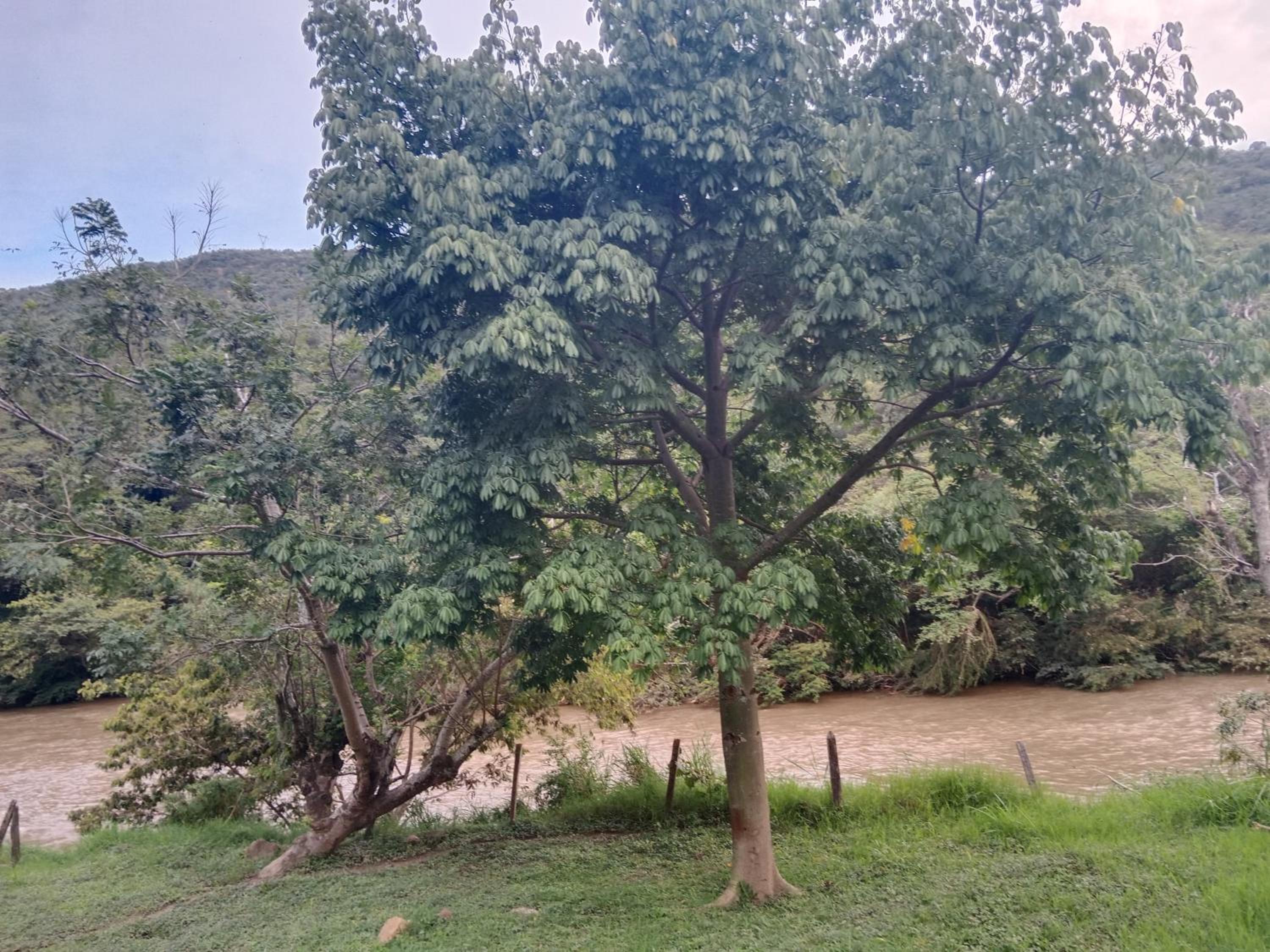 Apartamento Campestre Con Piscina Villa Lucy