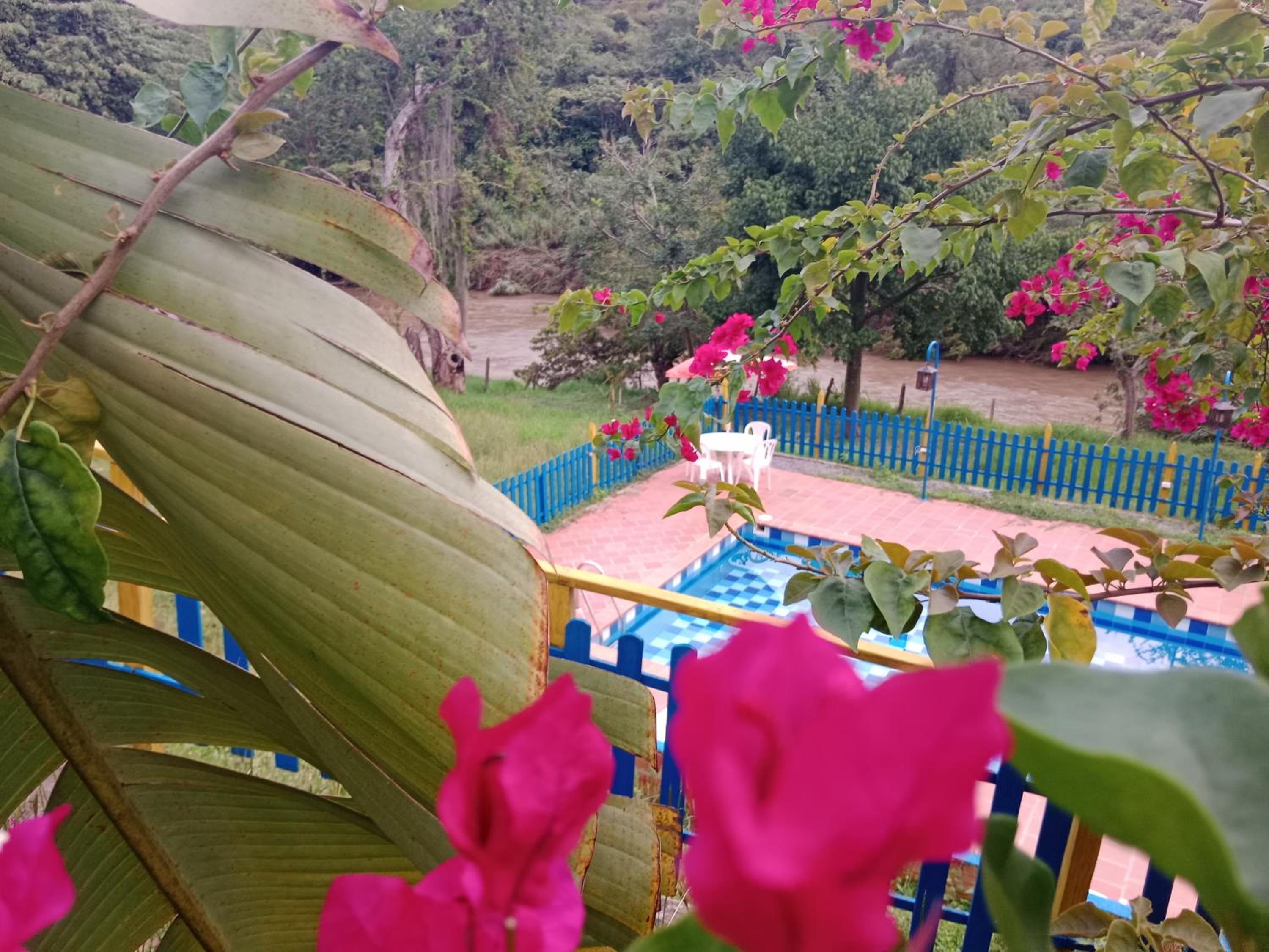 Apartamento Campestre Con Piscina Villa Lucy