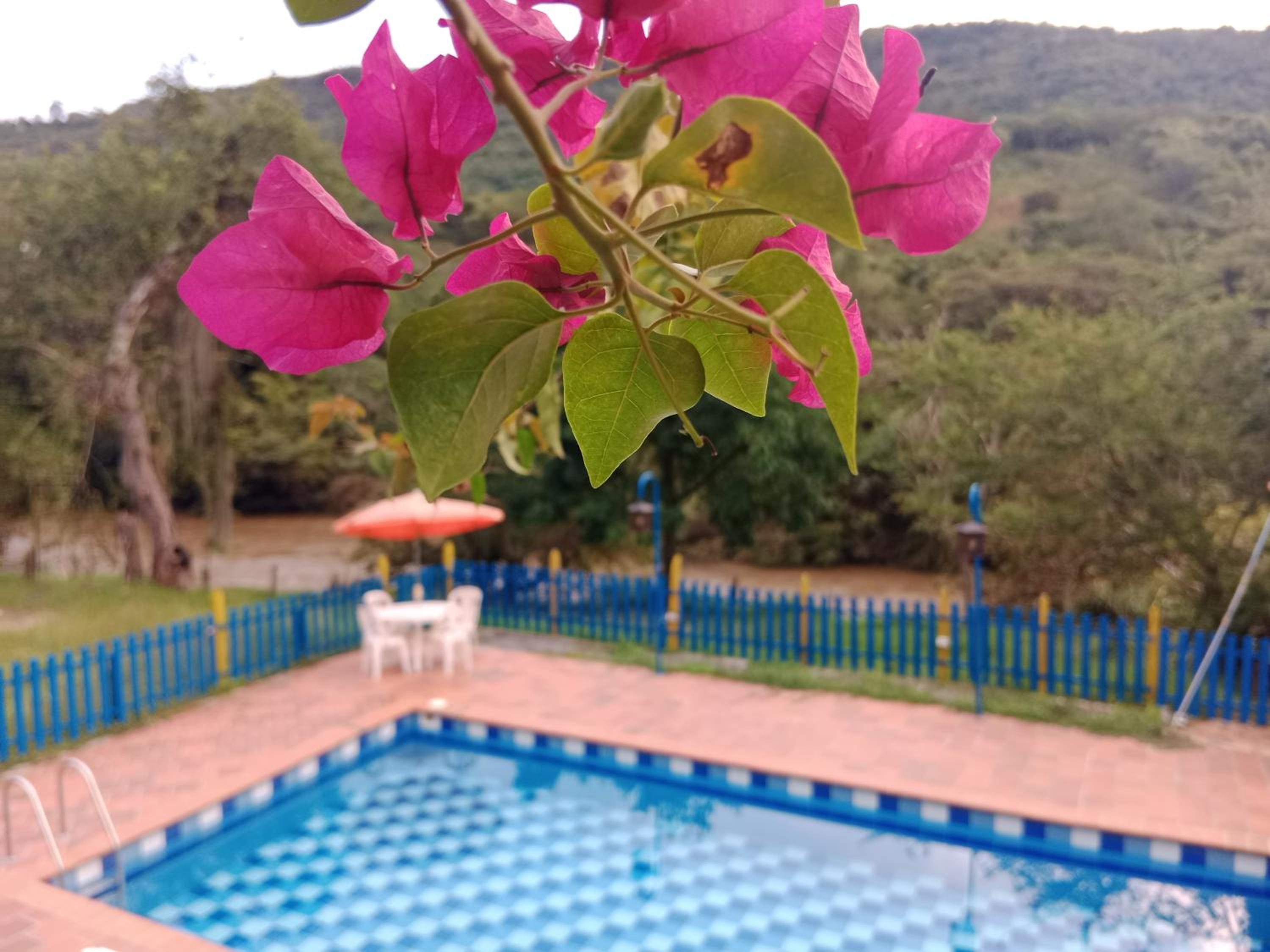 Apartamento Campestre Con Piscina Villa Lucy
