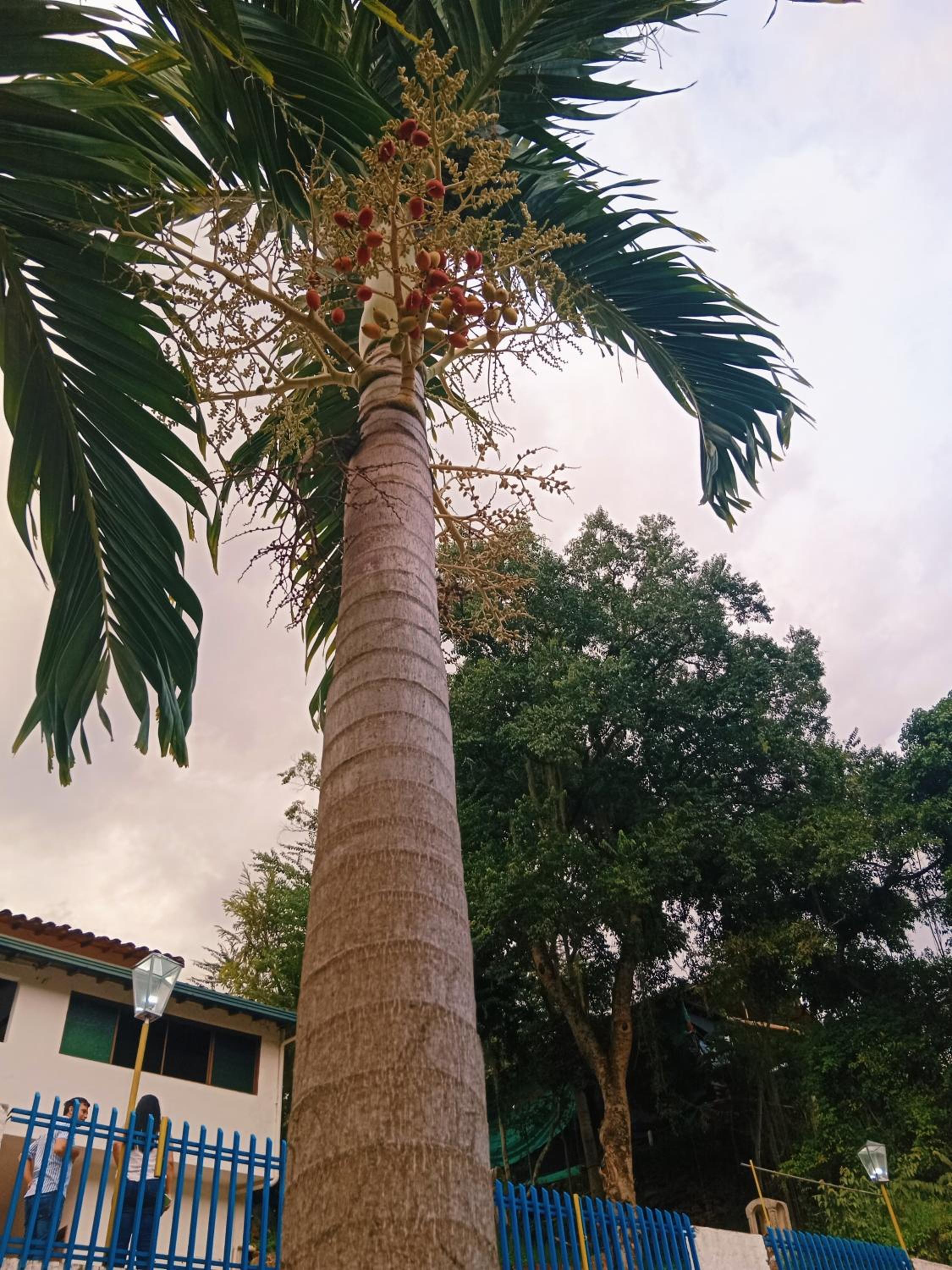 Apartamento Campestre Con Piscina Villa Lucy