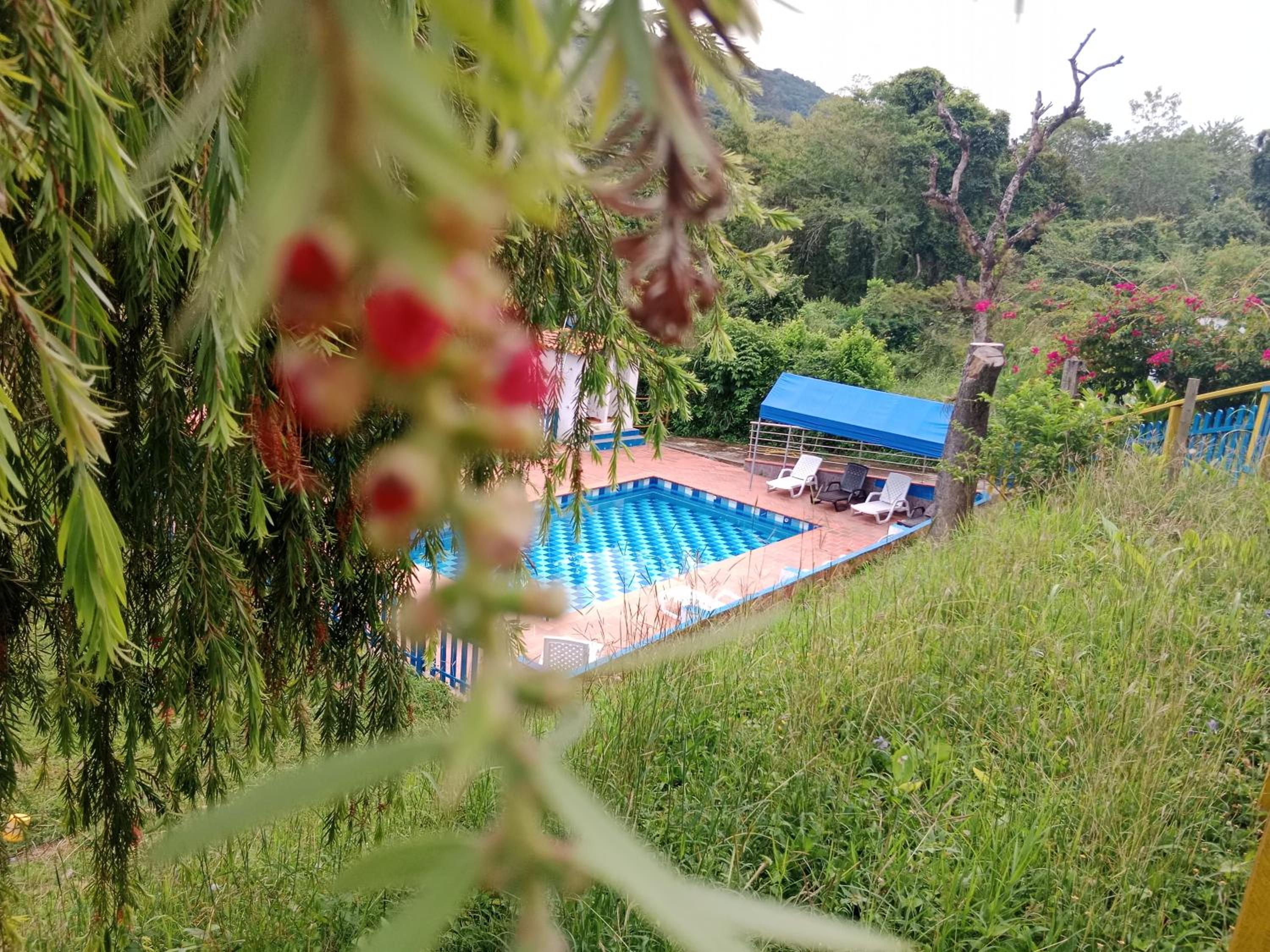 Apartamento Campestre Con Piscina Villa Lucy
