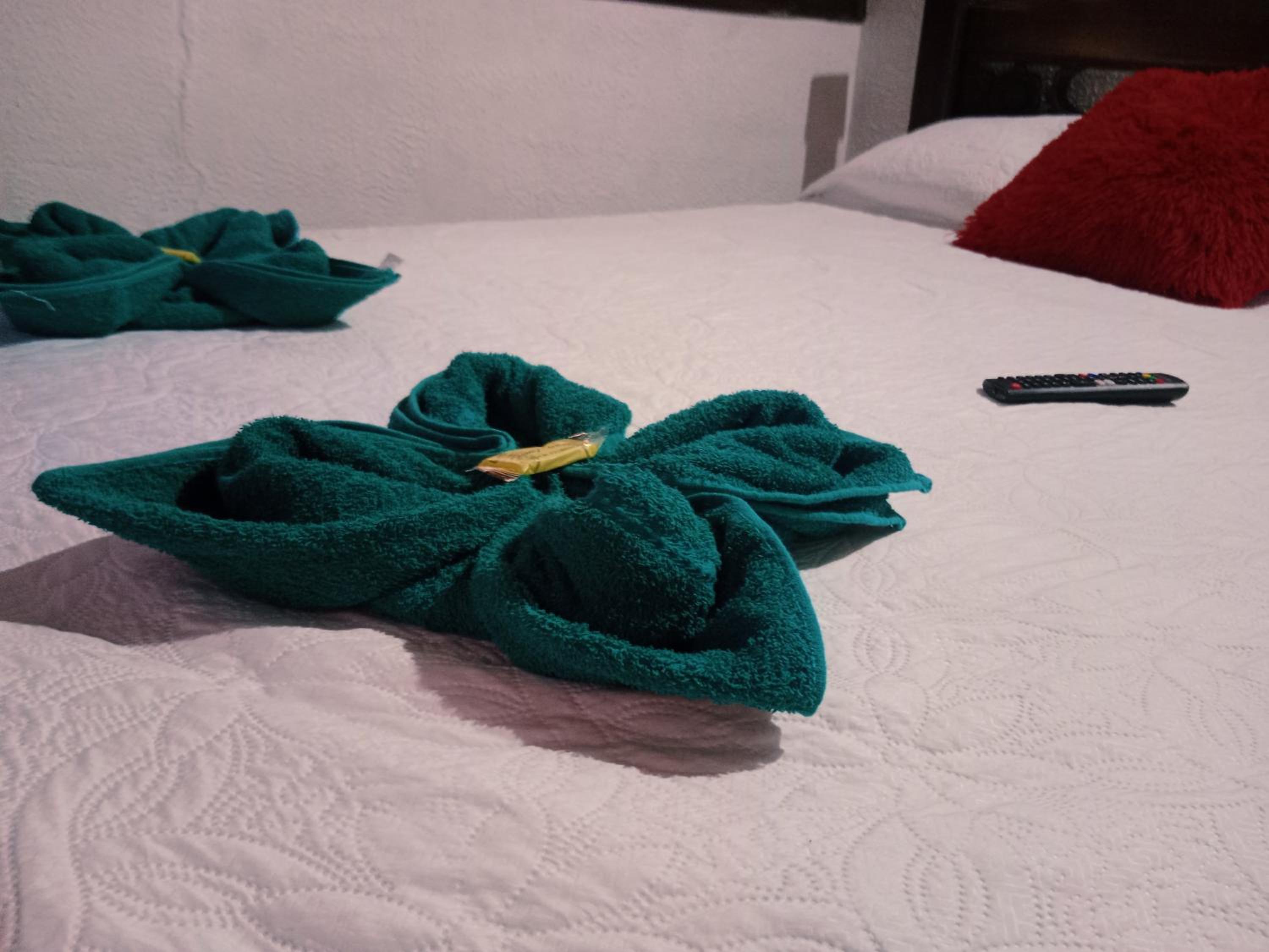 Apartamento Campestre Con Piscina Villa Lucy