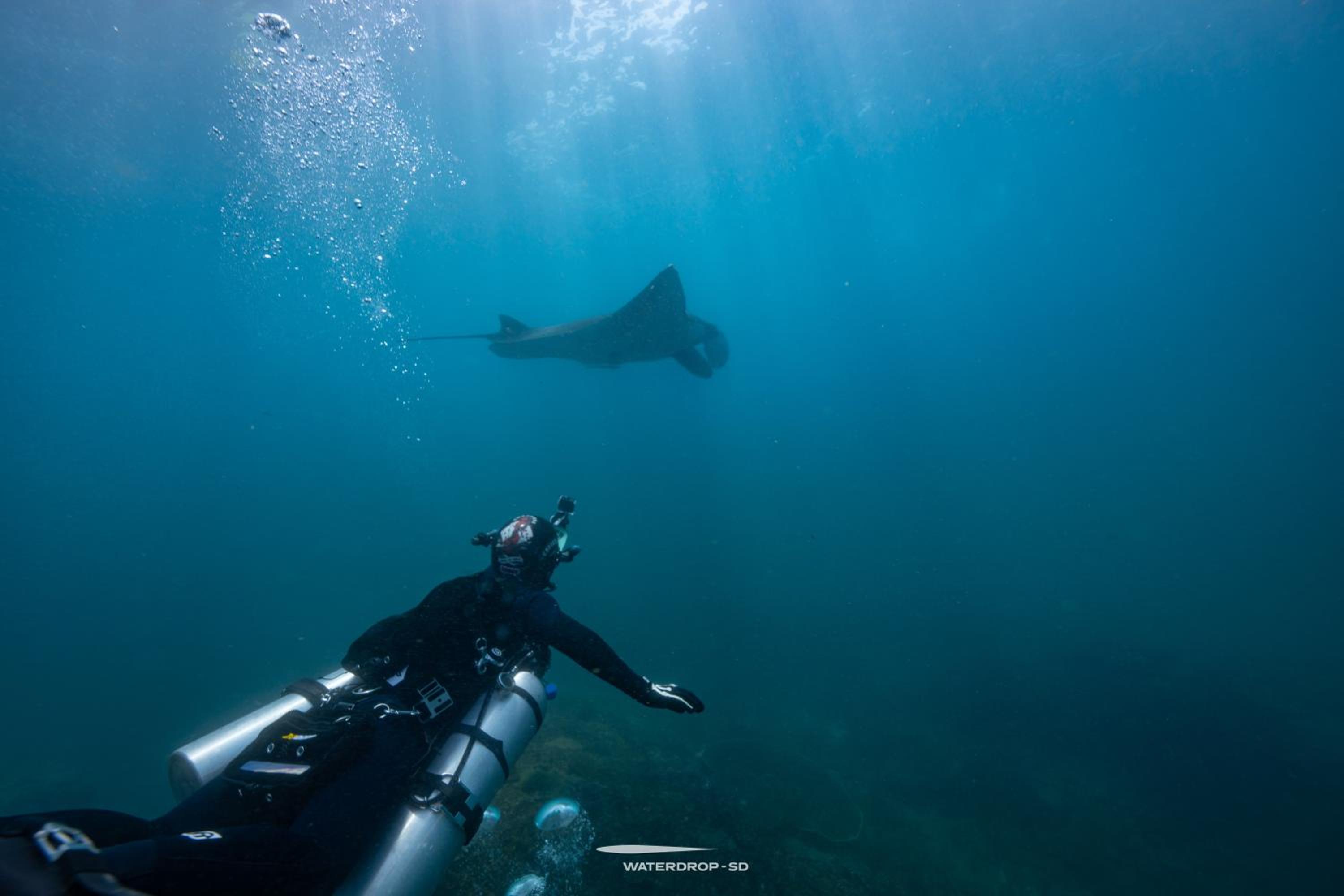 Photo 39