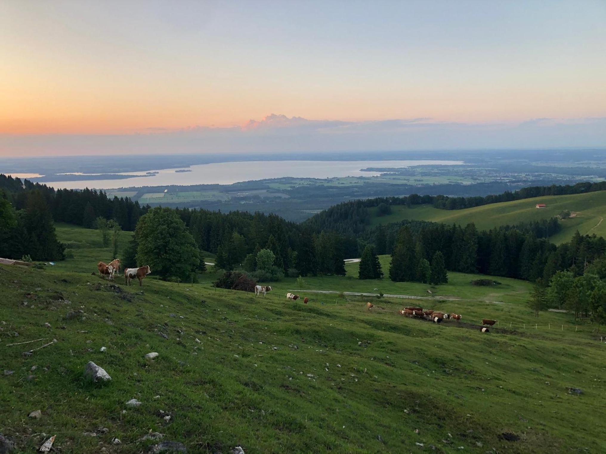 Ferienwohnung Landhaus zum Sonnenschein view 3