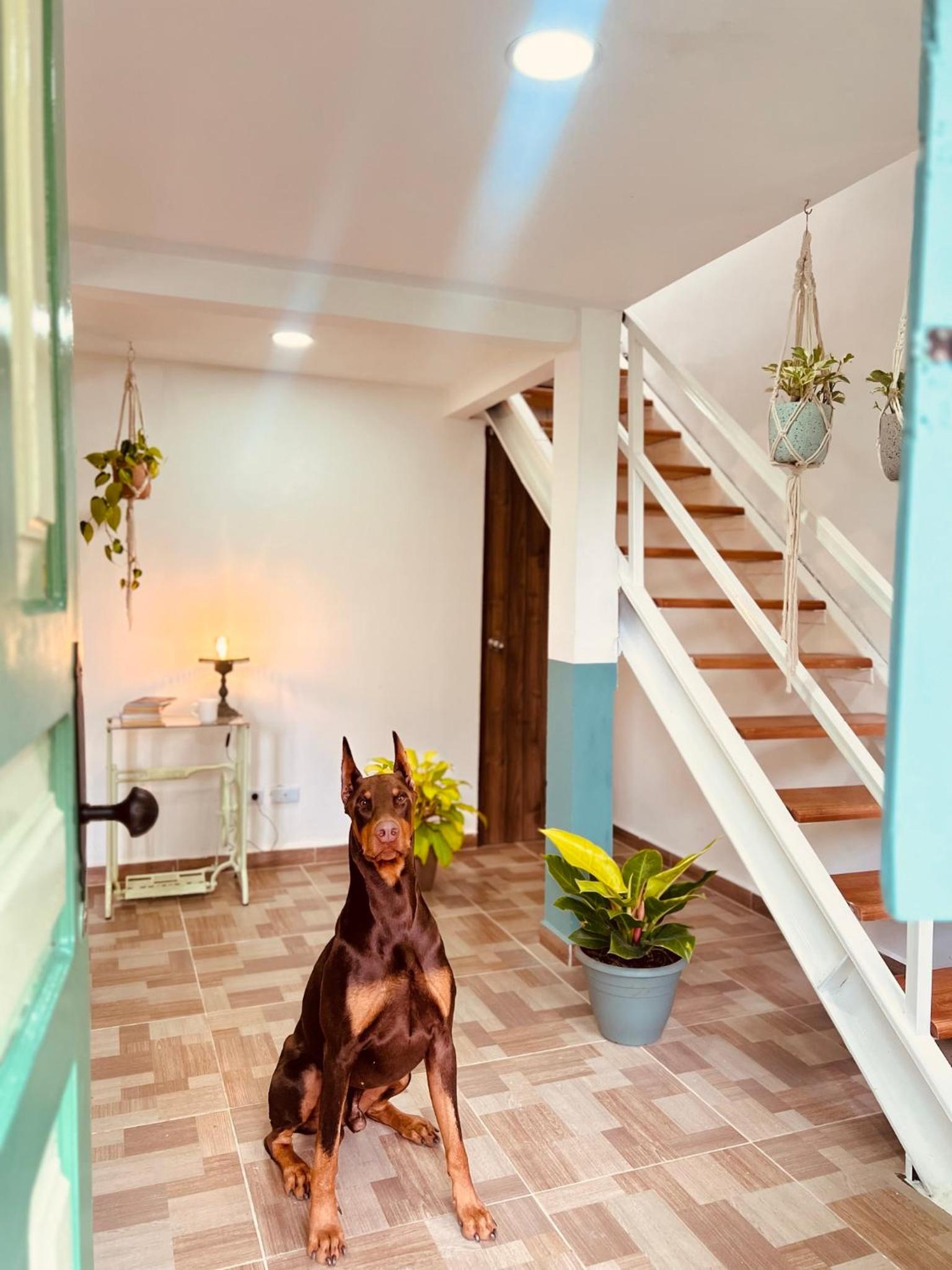 La Casa de colour Filandia, Quindio