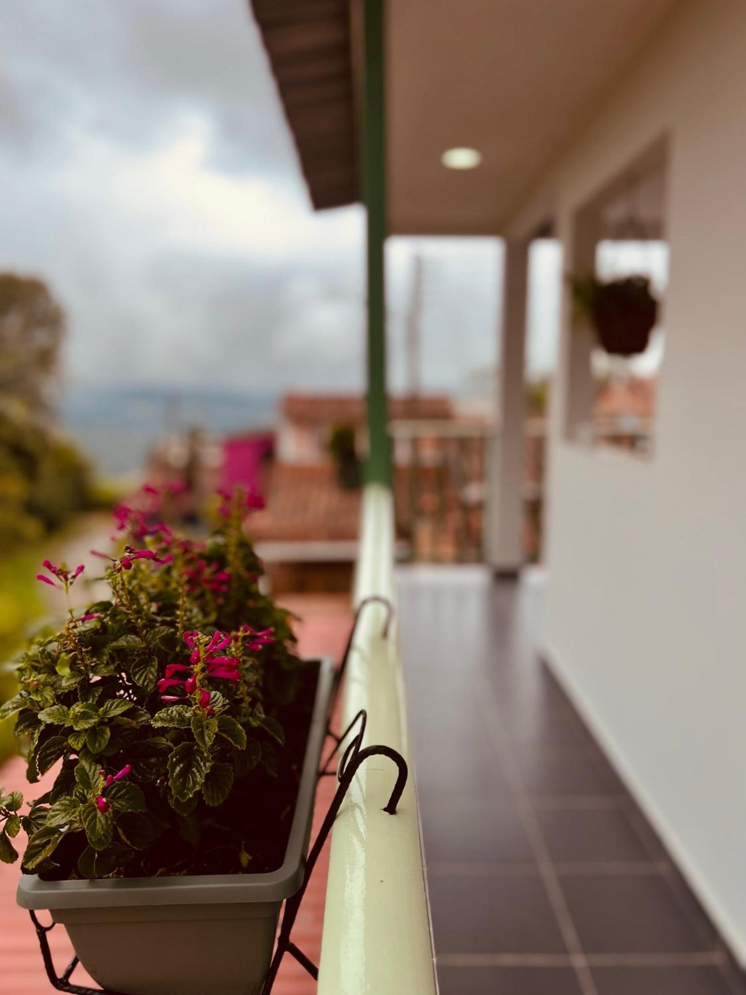 La Casa de colour Filandia, Quindio