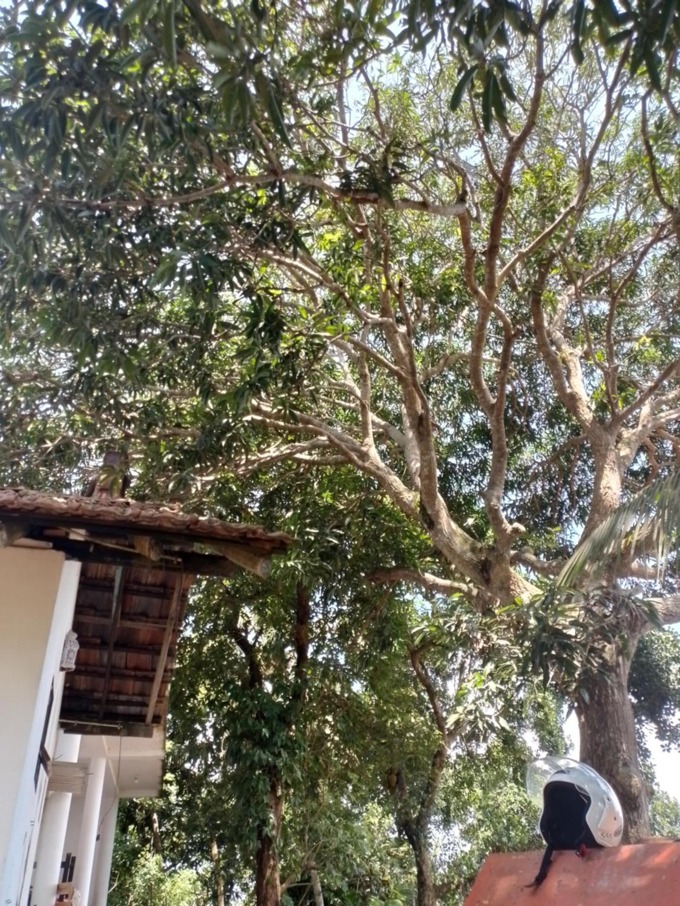 Home stay In Matara