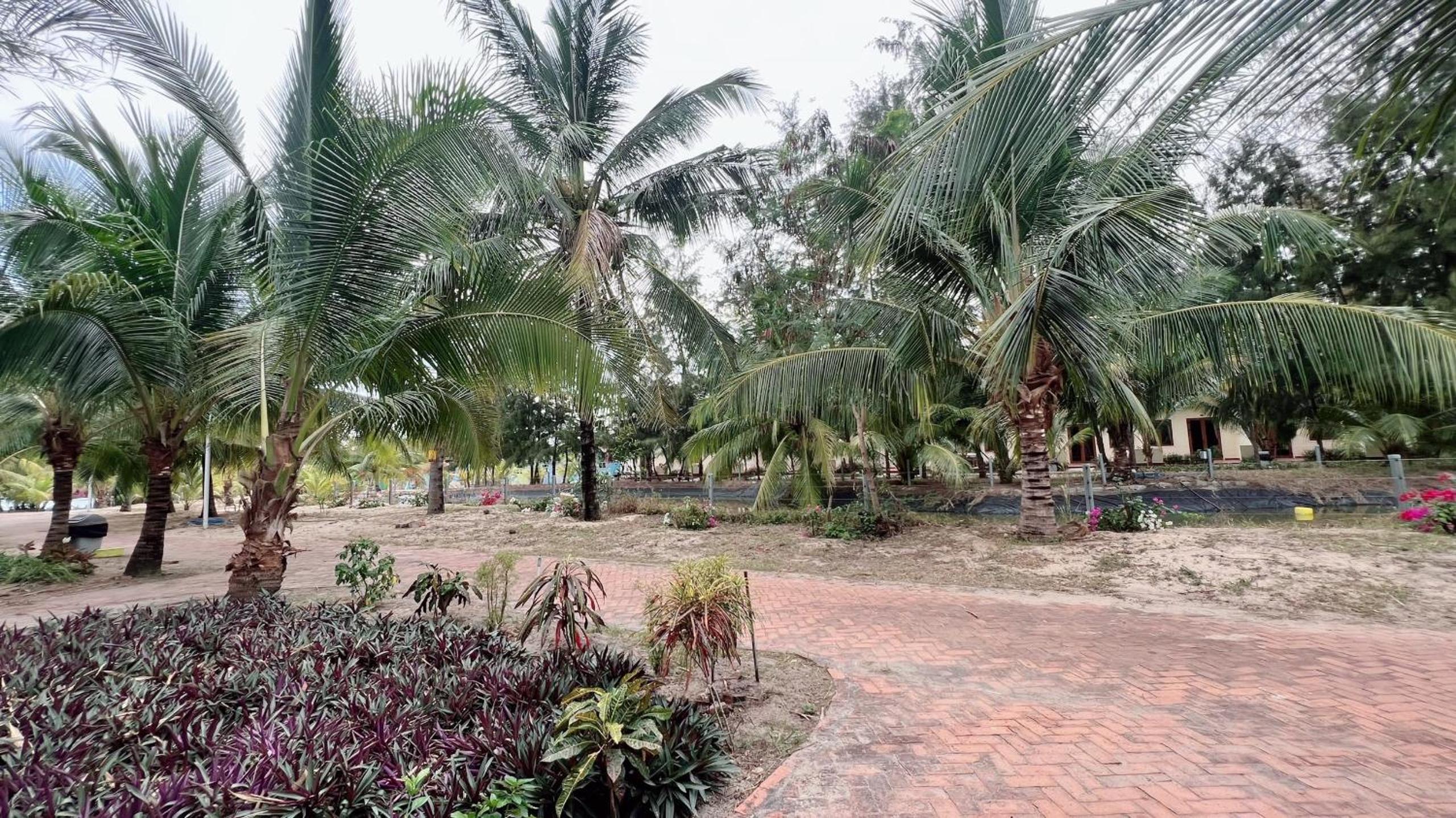 NBC Cam Bình Resort