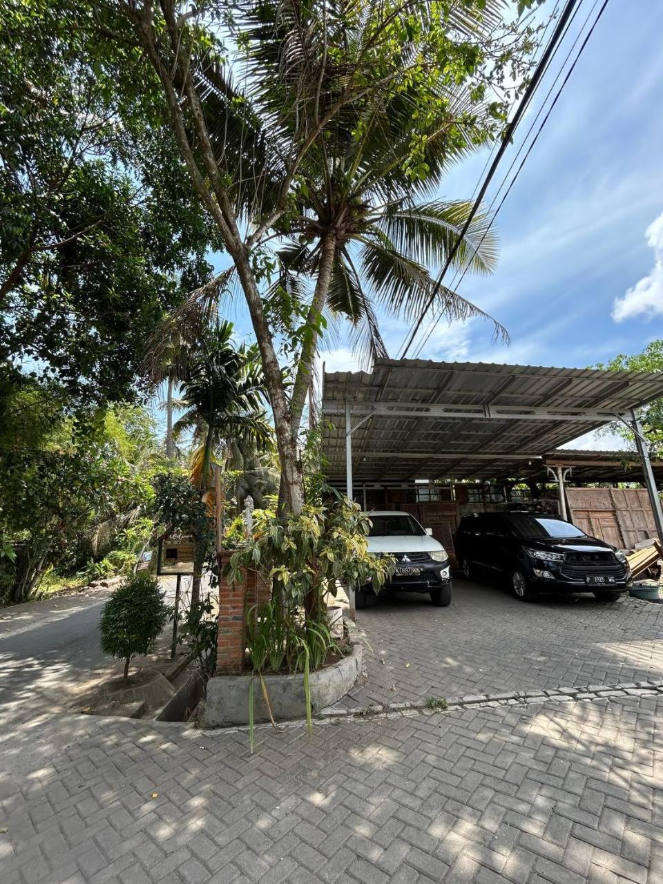 Didu's Homestay Bed & Breakfast view 3