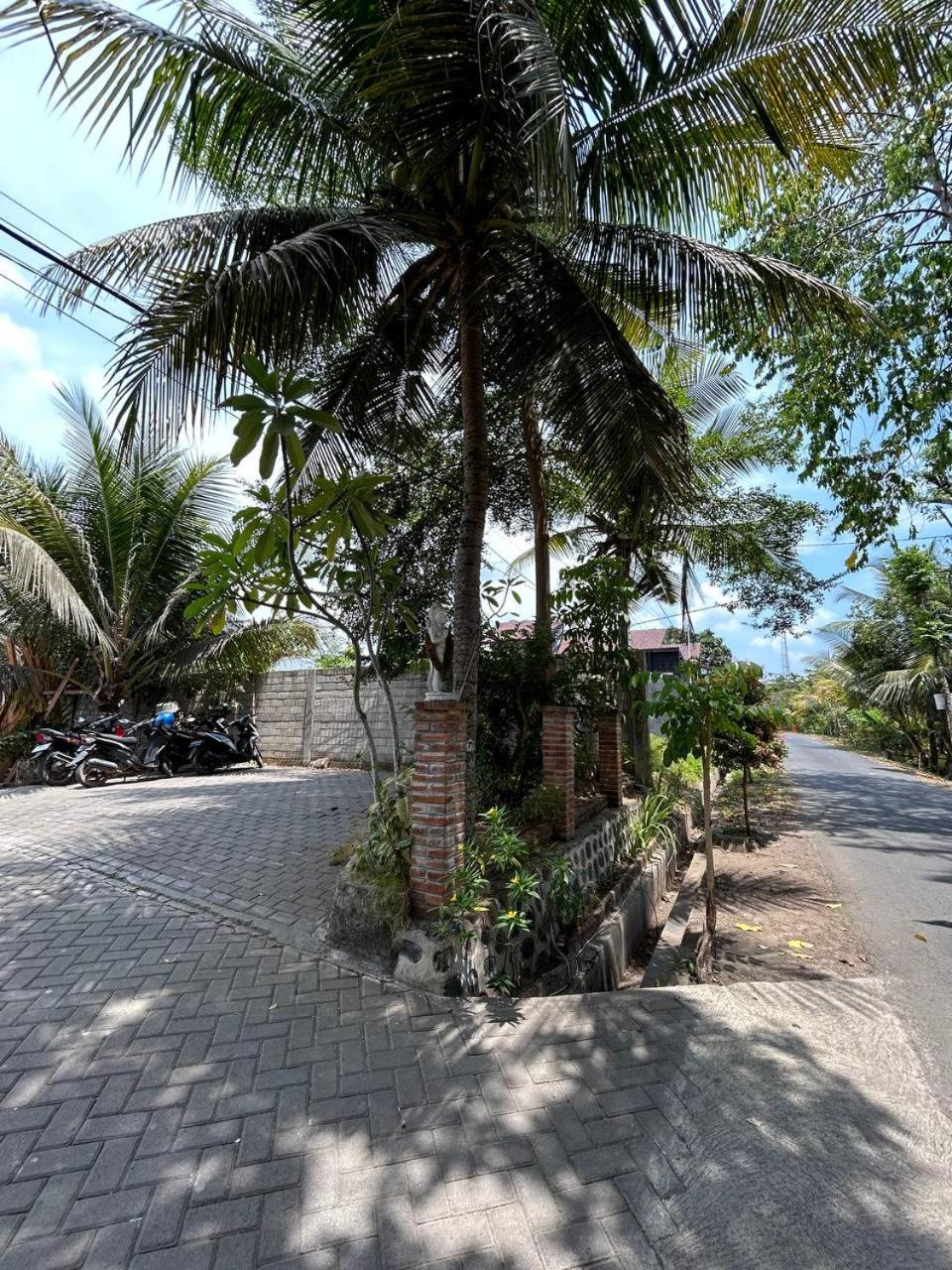 Didu's Homestay Bed & Breakfast view 5