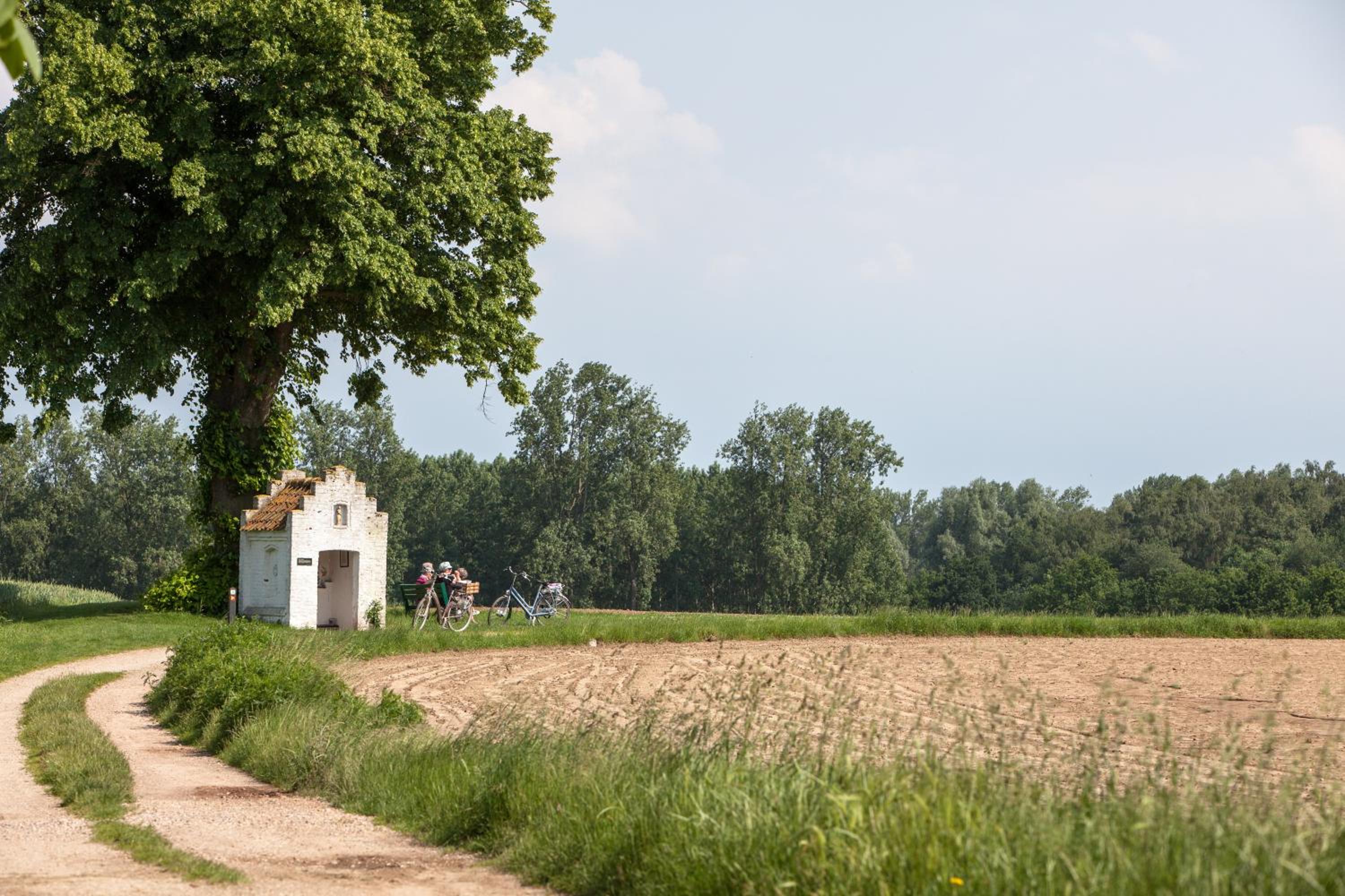 Photo 47